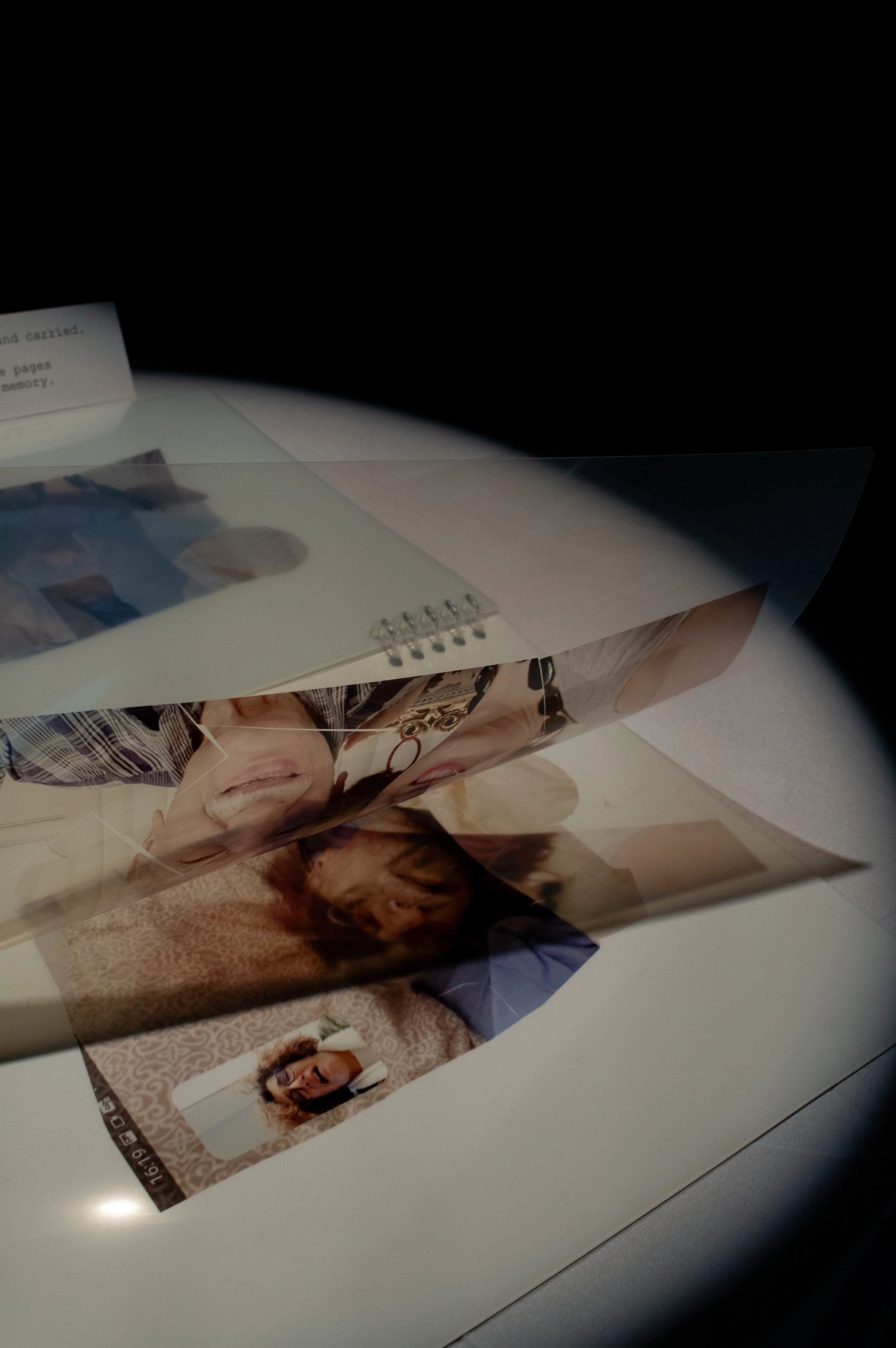 _DSC0087.jpeg