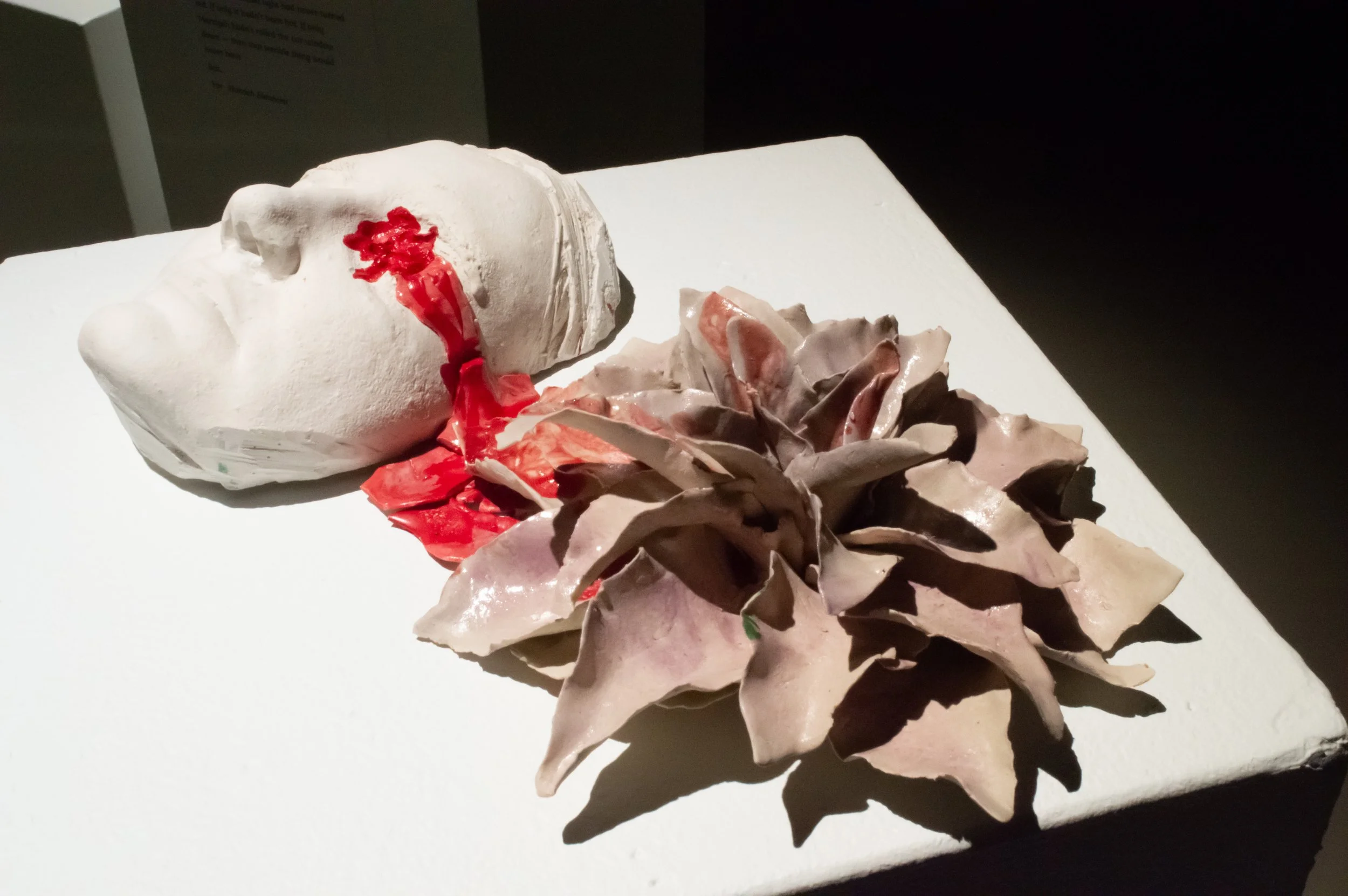 _DSC0230.jpeg