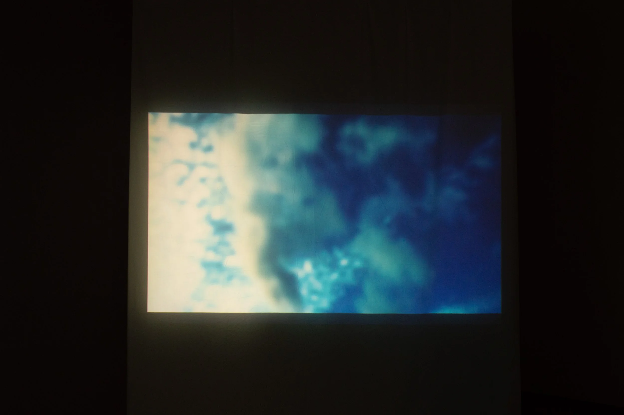 _DSC0117.jpeg