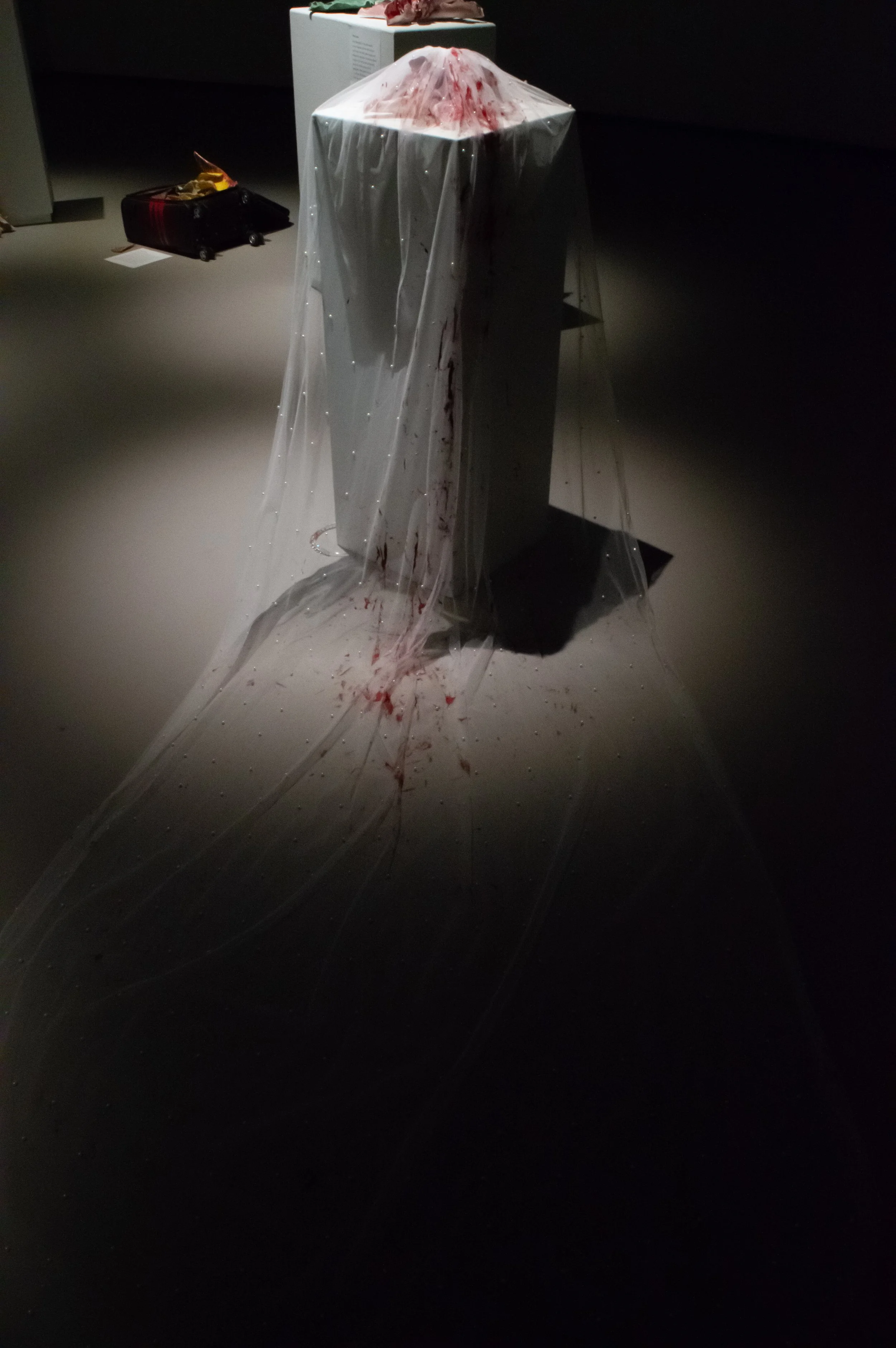 _DSC0246.jpeg