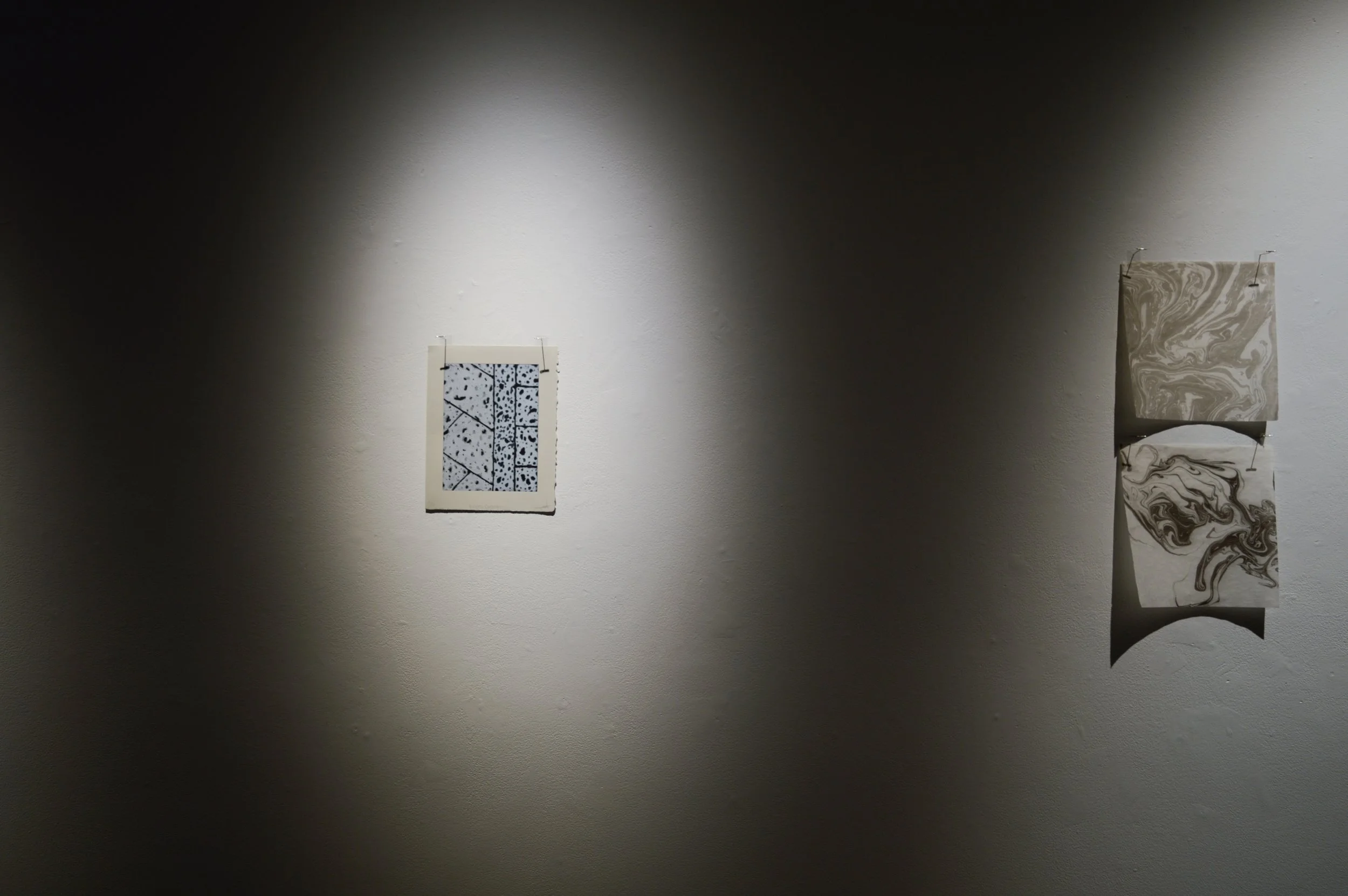 _DSC0945.jpeg