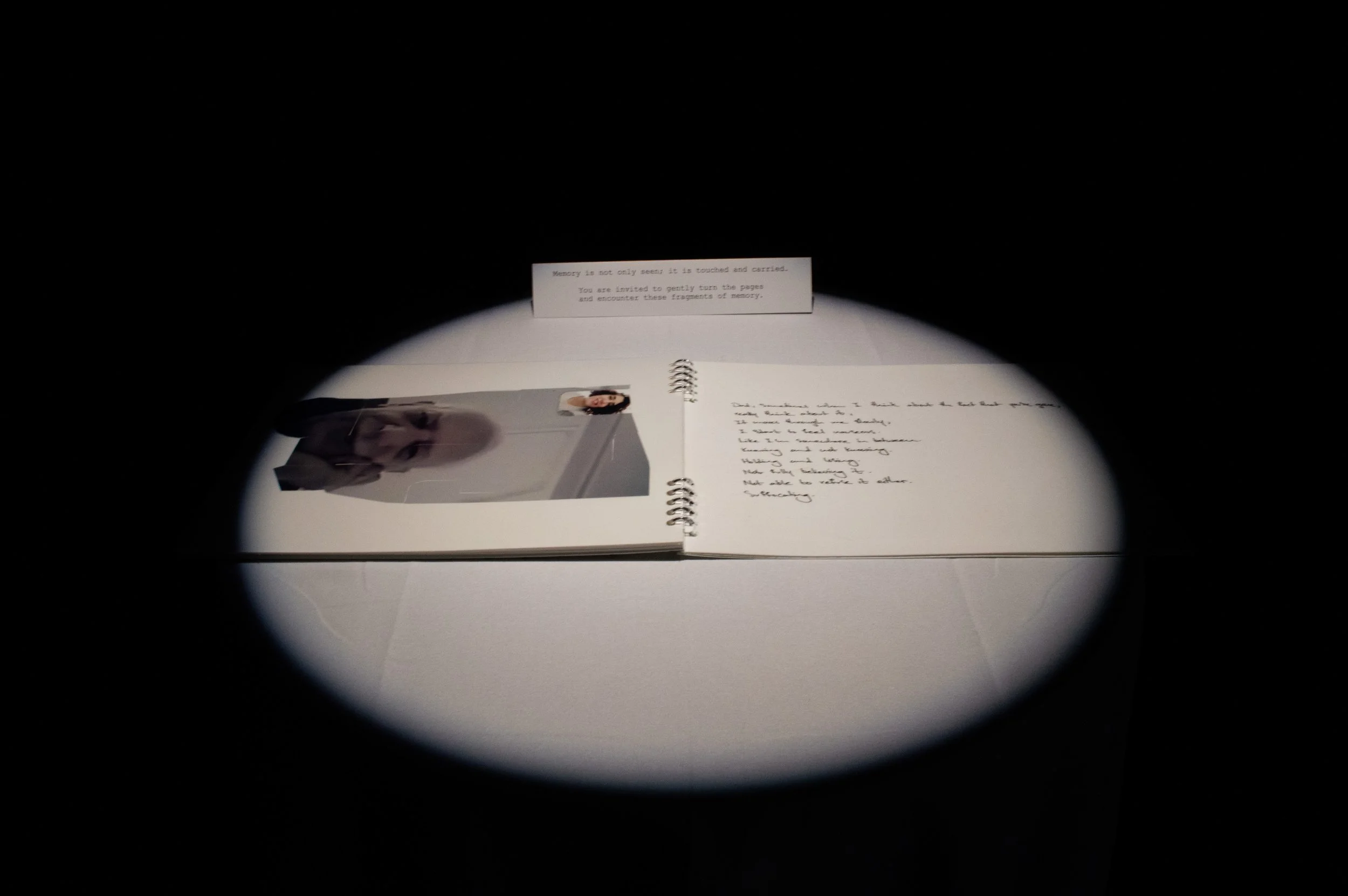 _DSC0110.jpeg