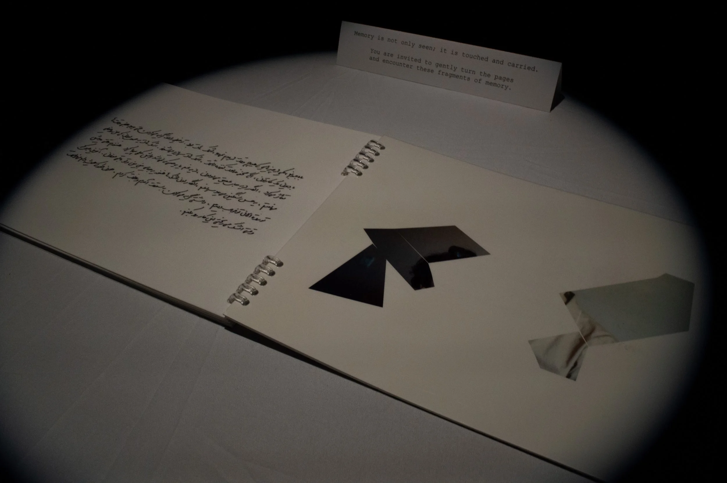 _DSC0093.jpeg