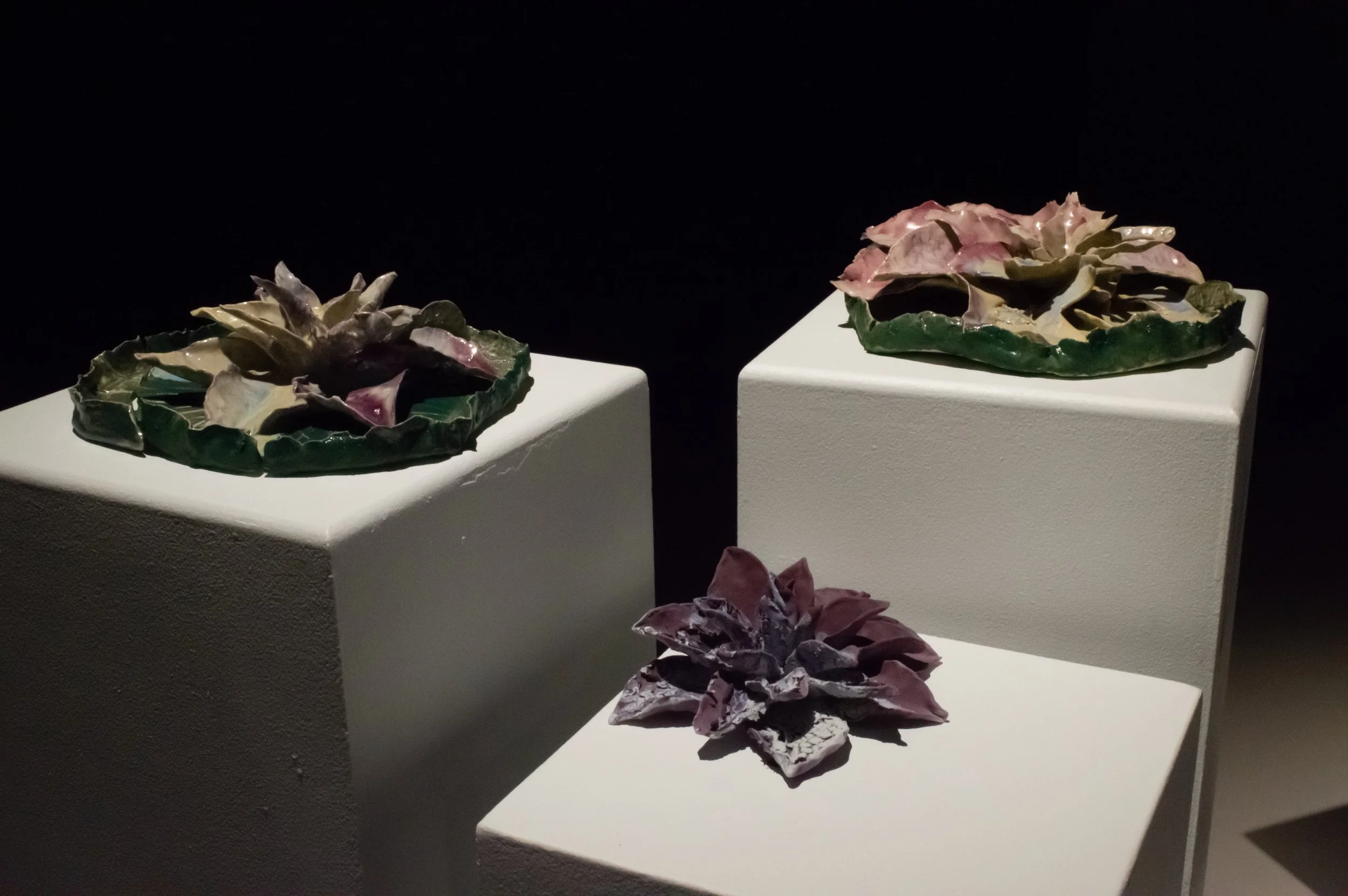 _DSC0223.jpeg