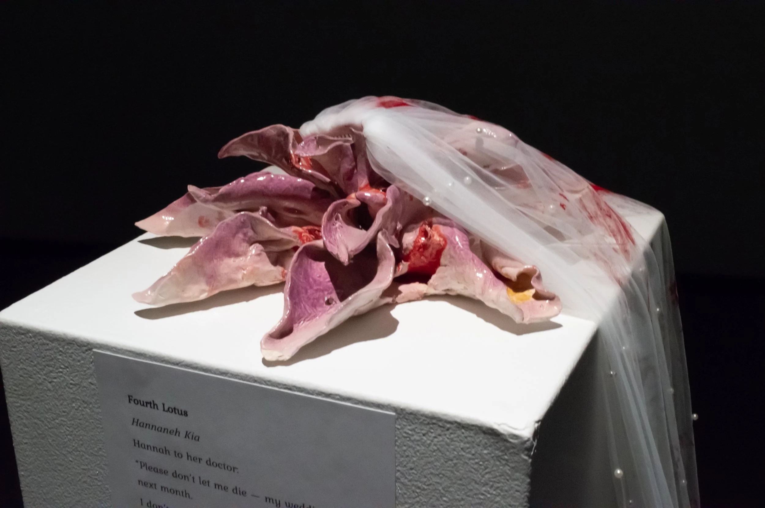_DSC0215.jpeg