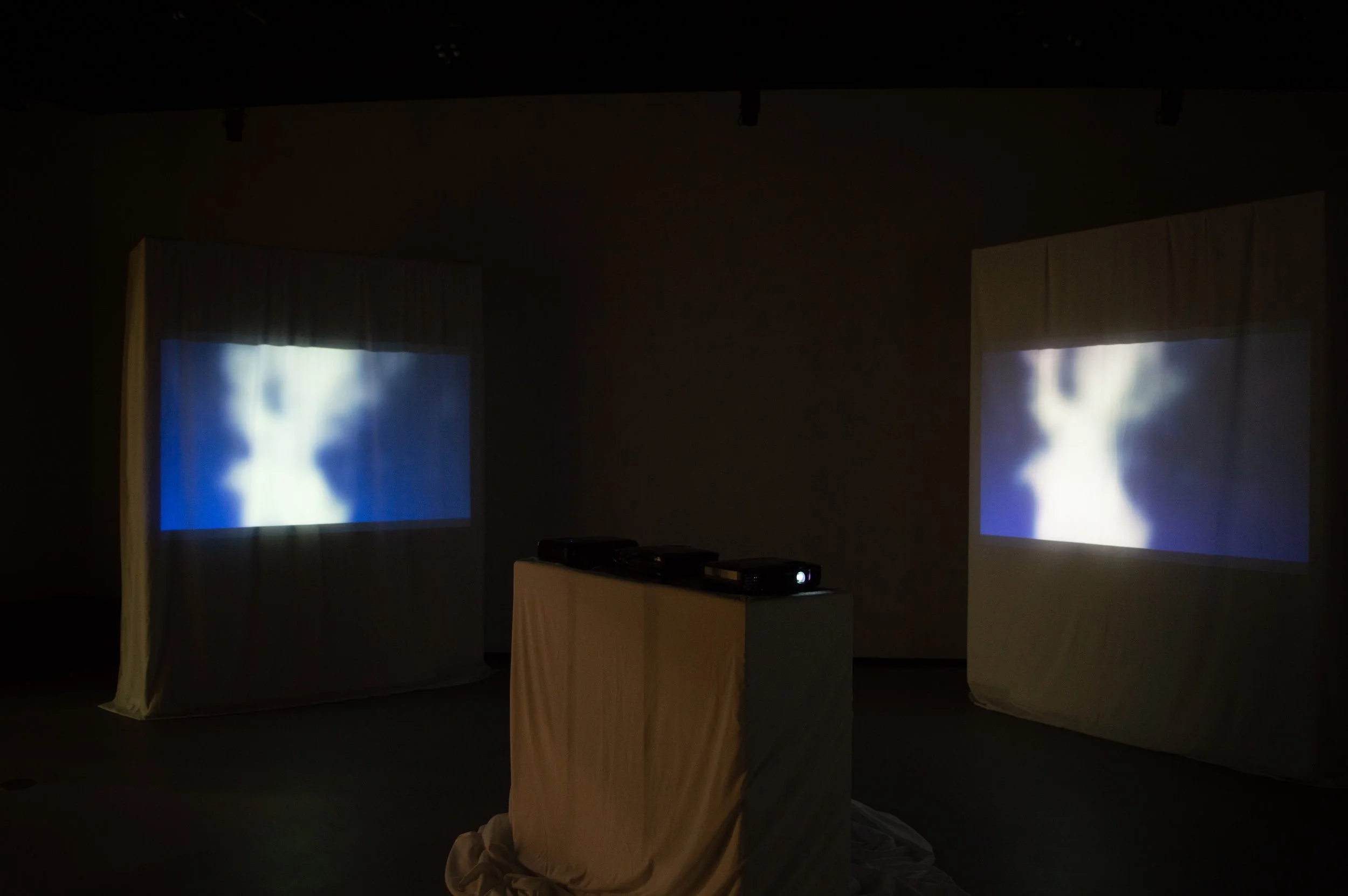 _DSC0129.jpeg