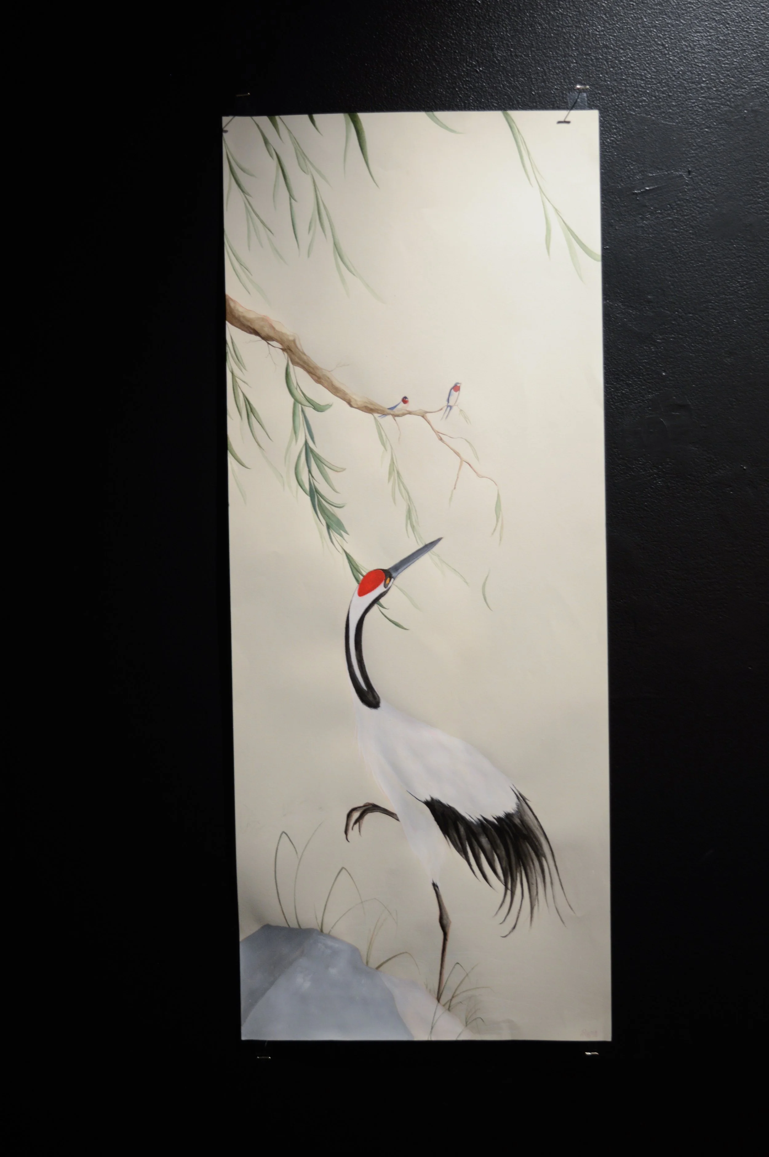 _DSC0849.jpeg