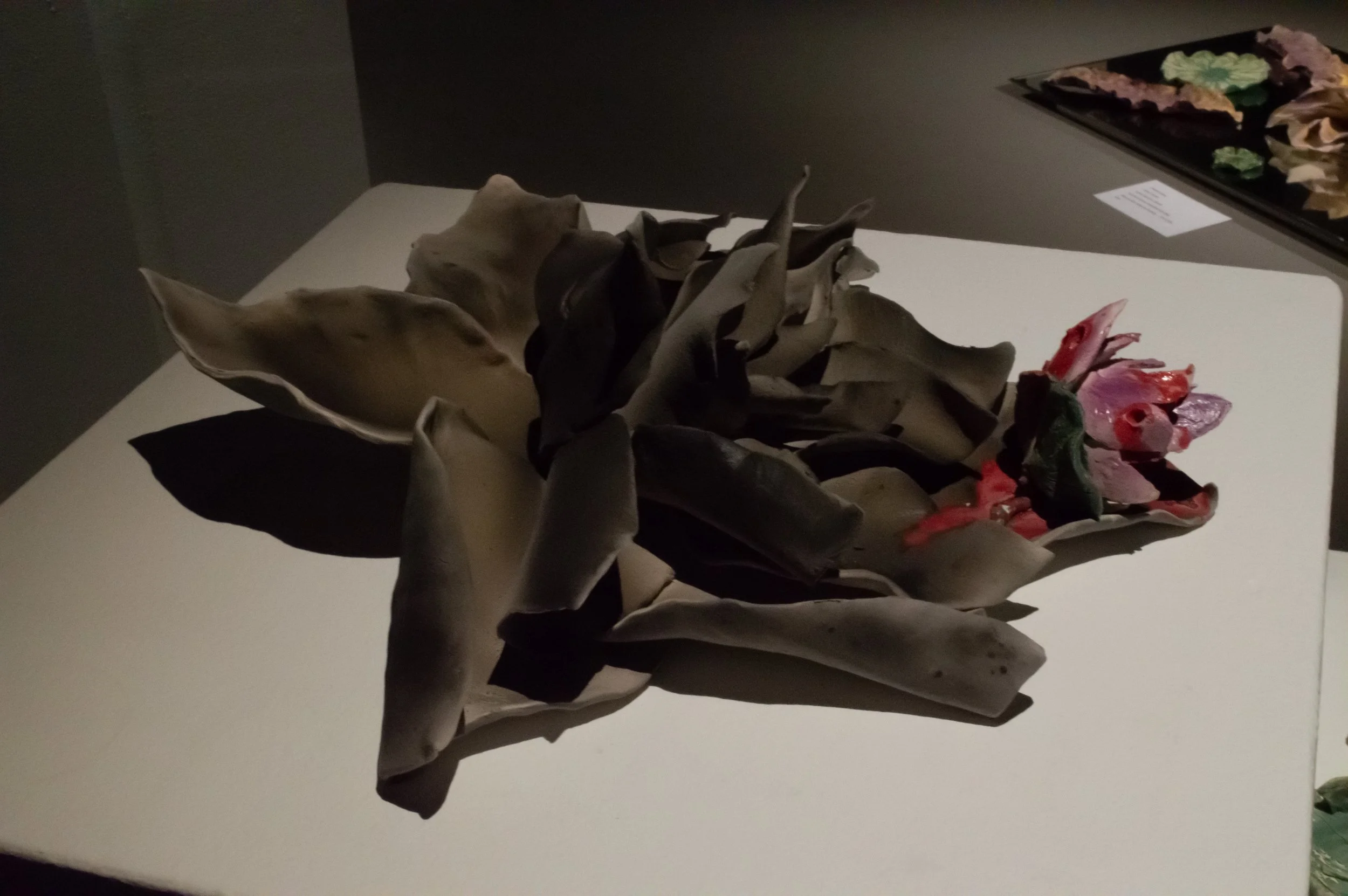 _DSC0220.jpeg