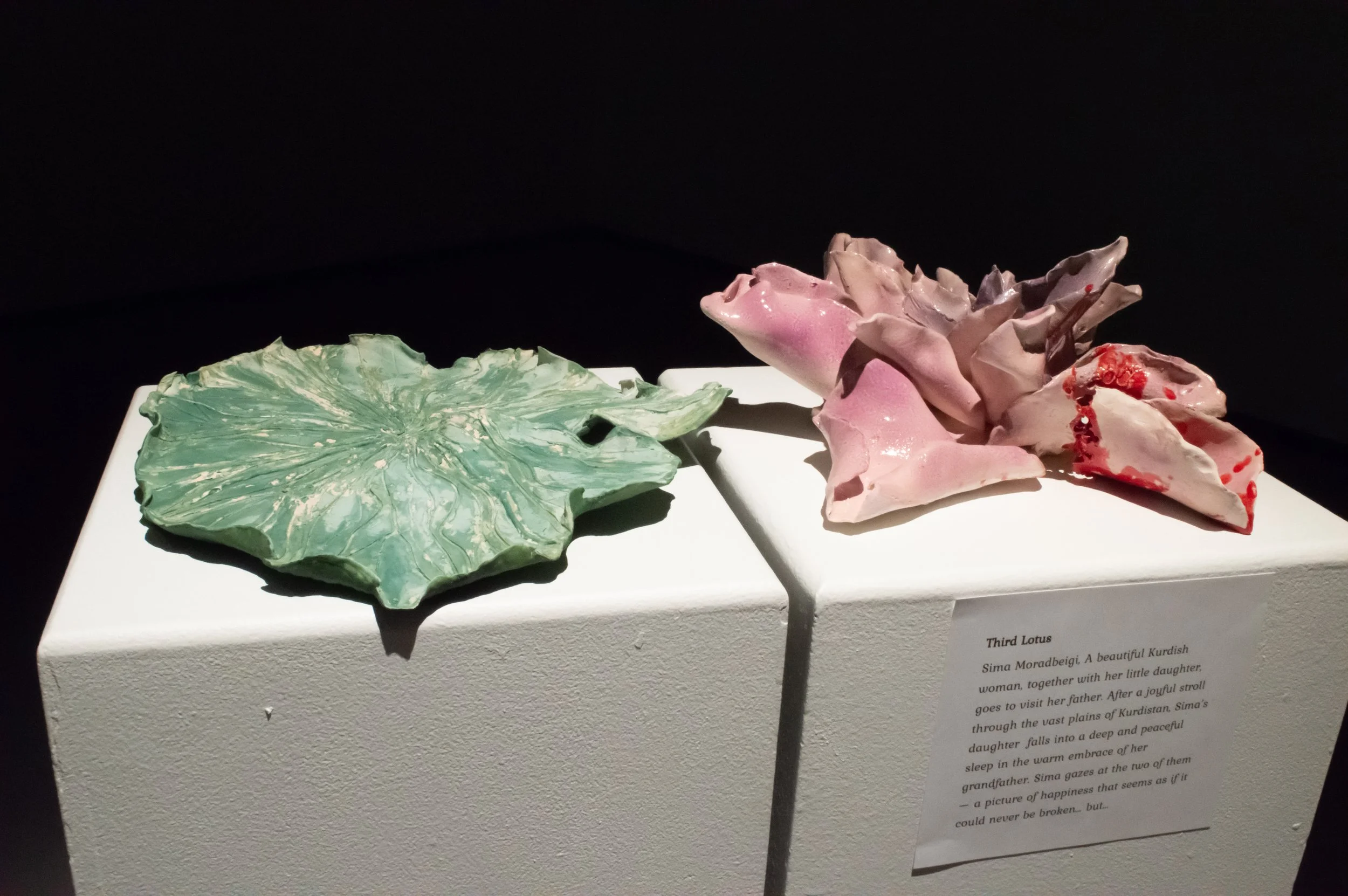 _DSC0209.jpeg