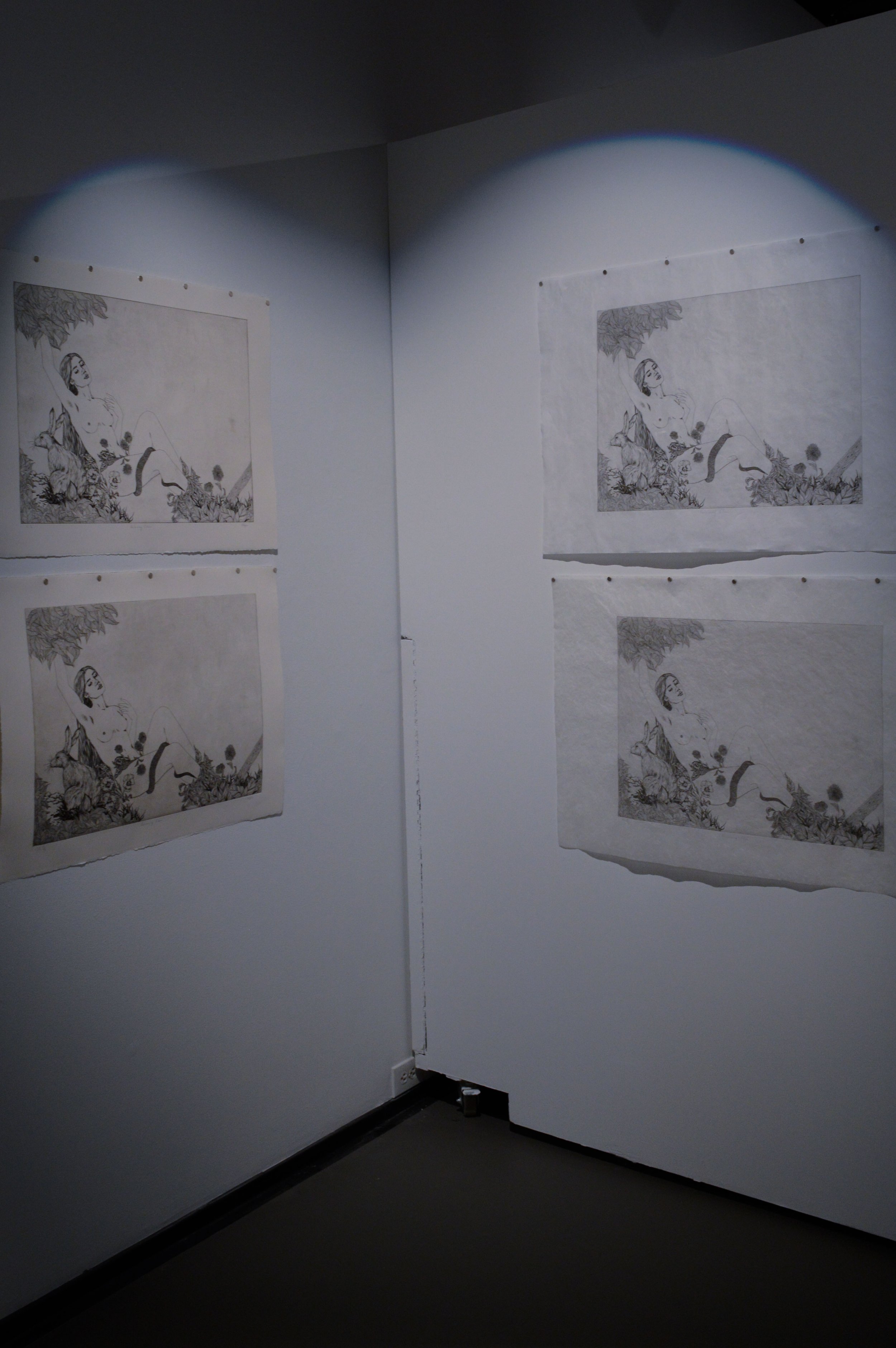 _DSC0103.jpeg