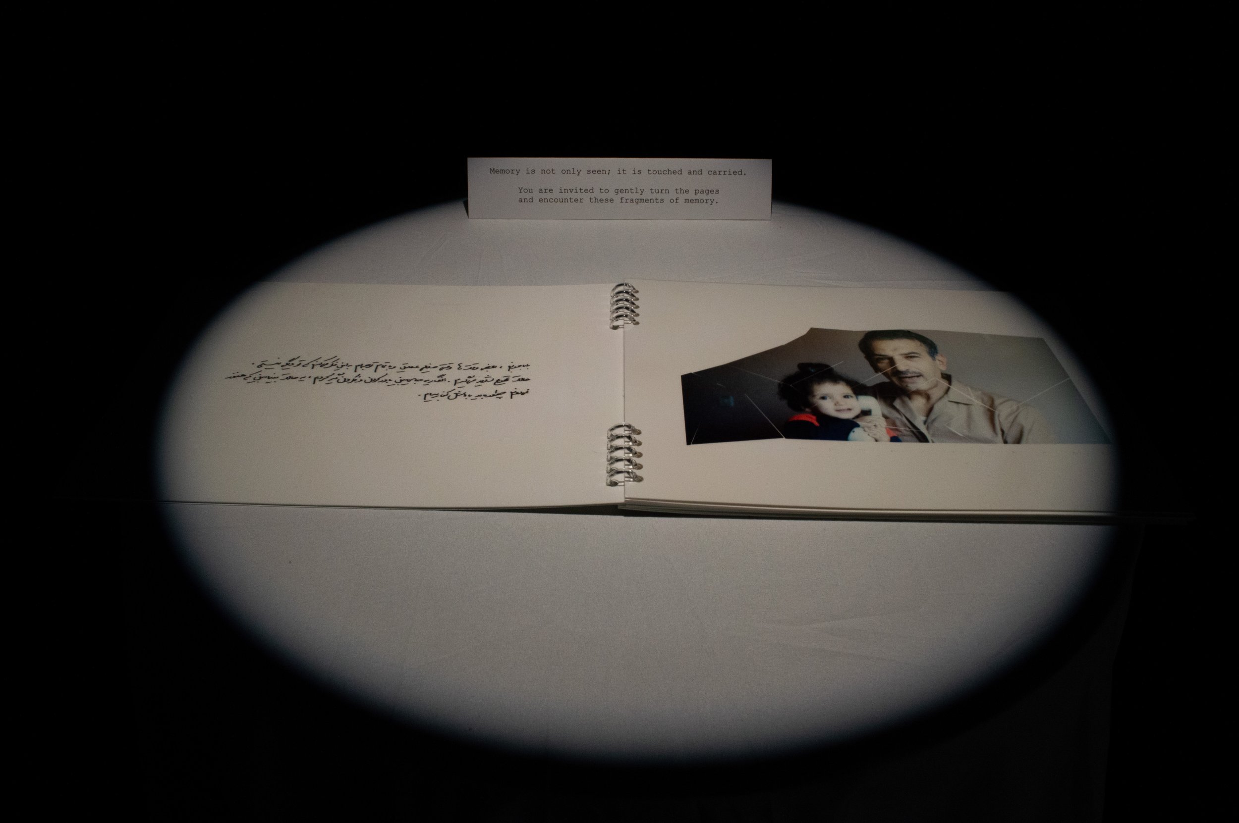 _DSC0106.jpeg