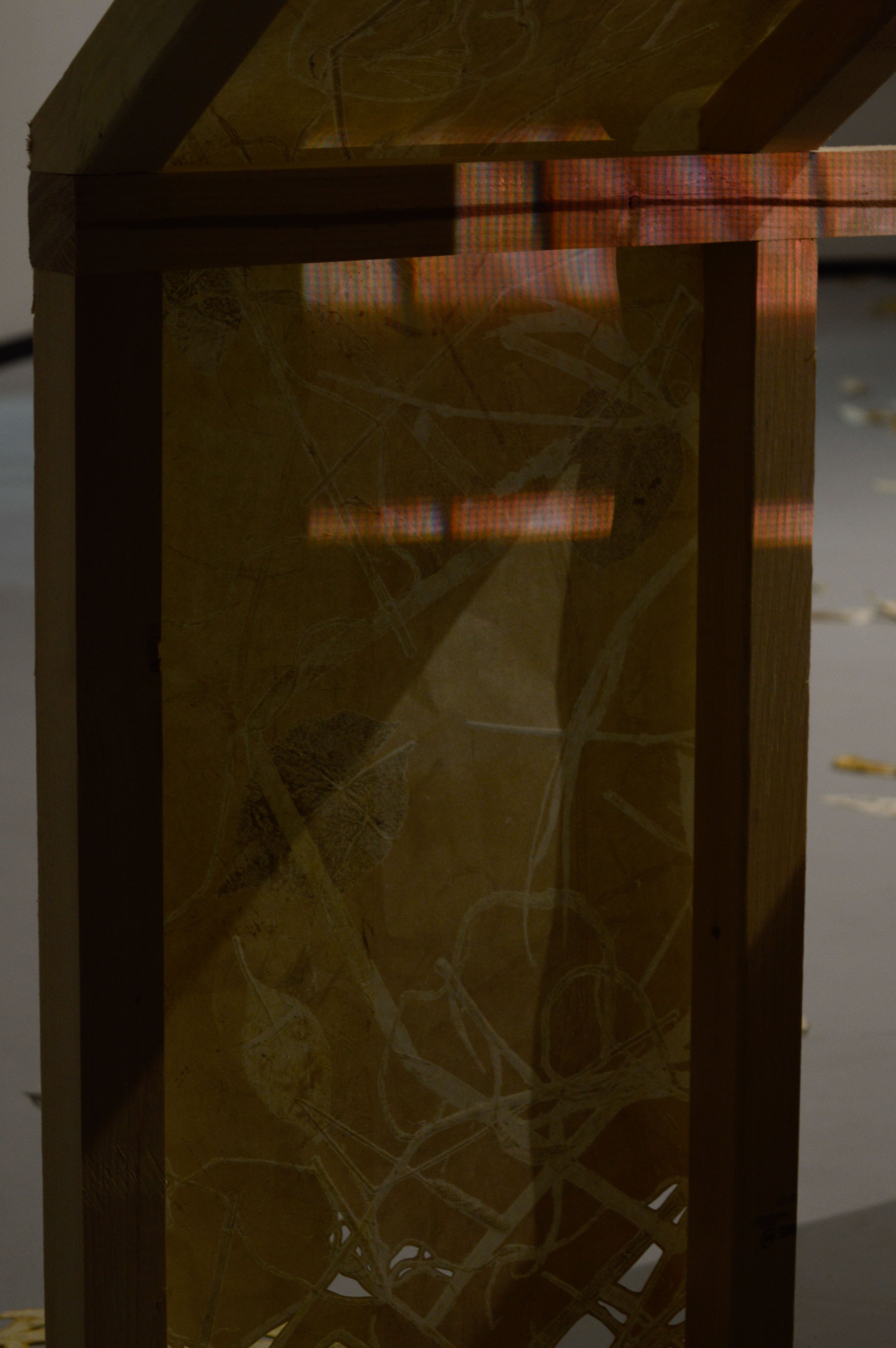 _DSC0710.jpeg