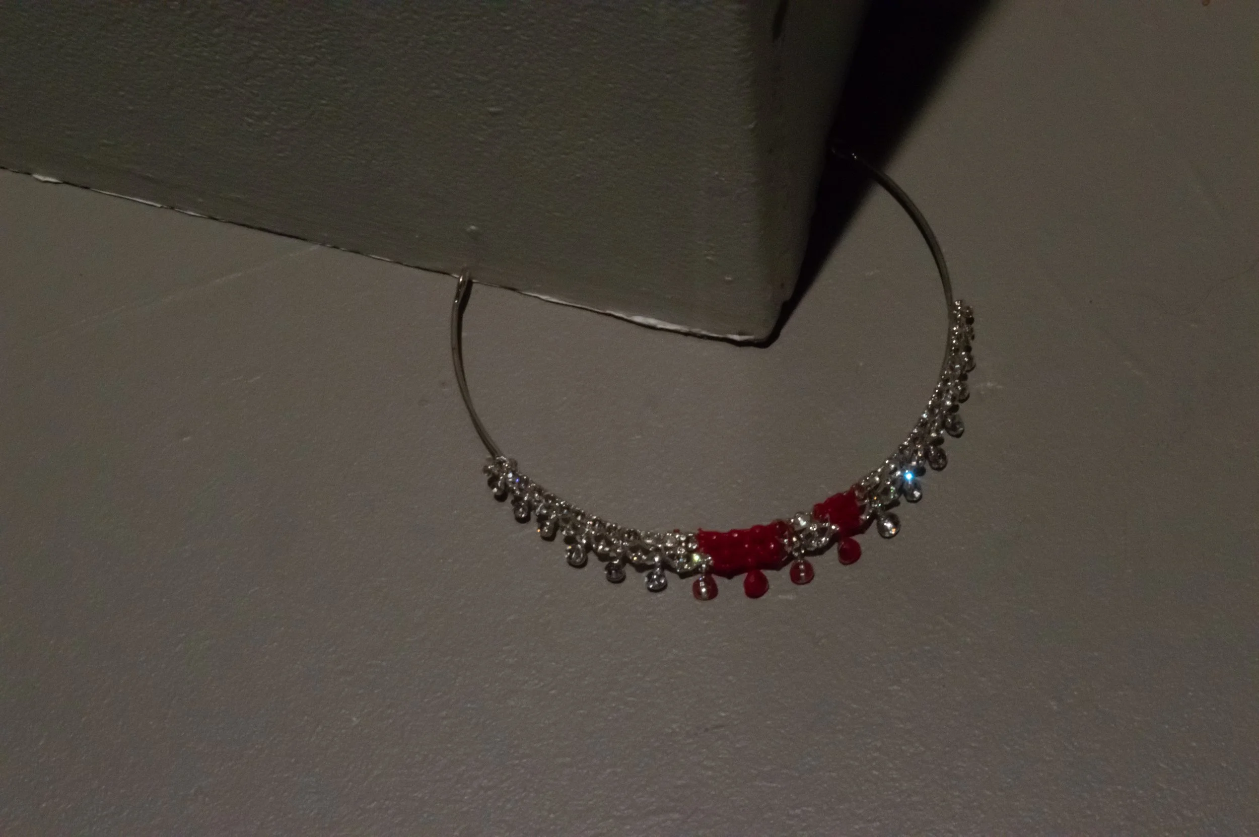 _DSC0216.jpeg