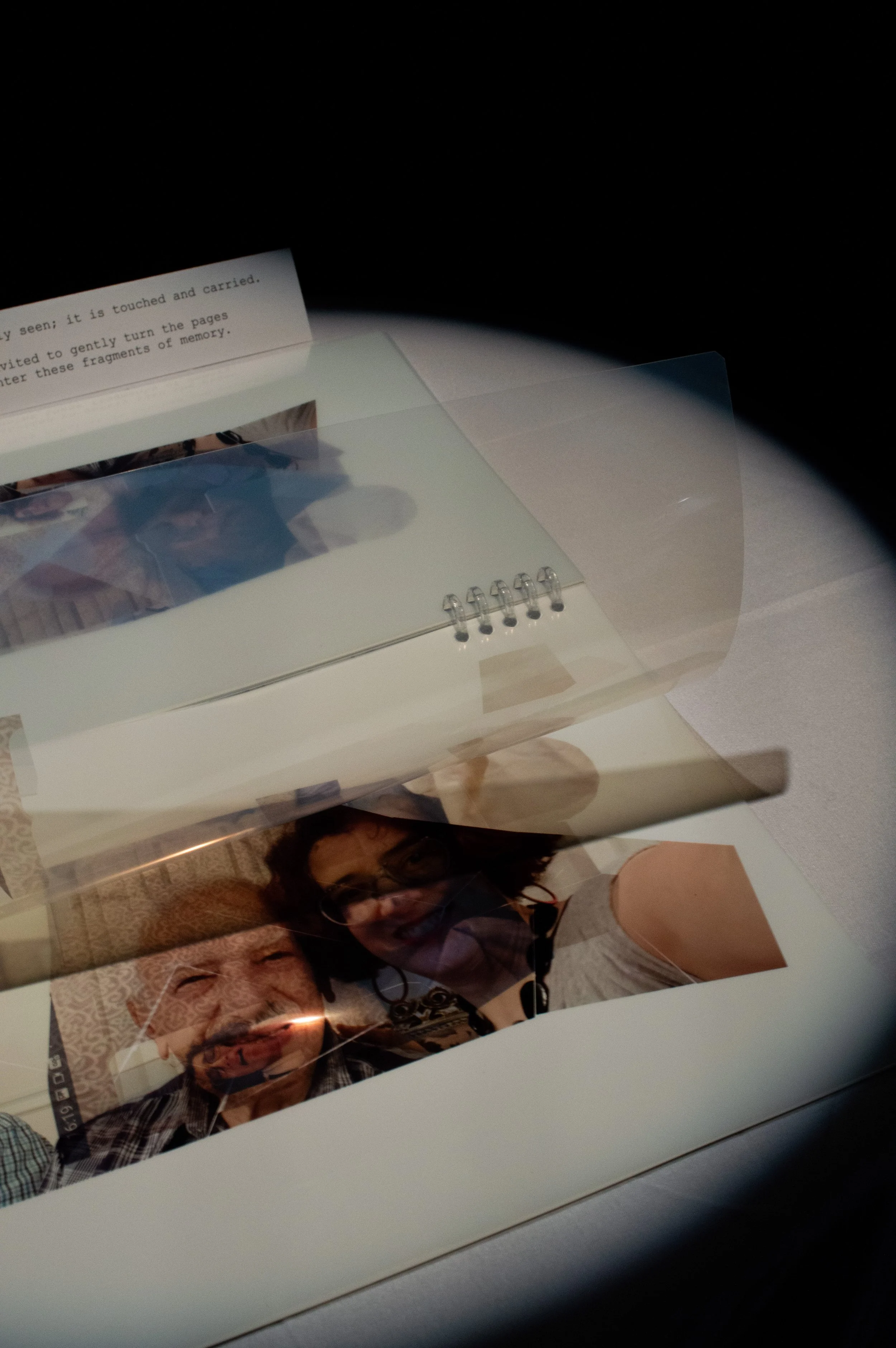 _DSC0086.jpeg