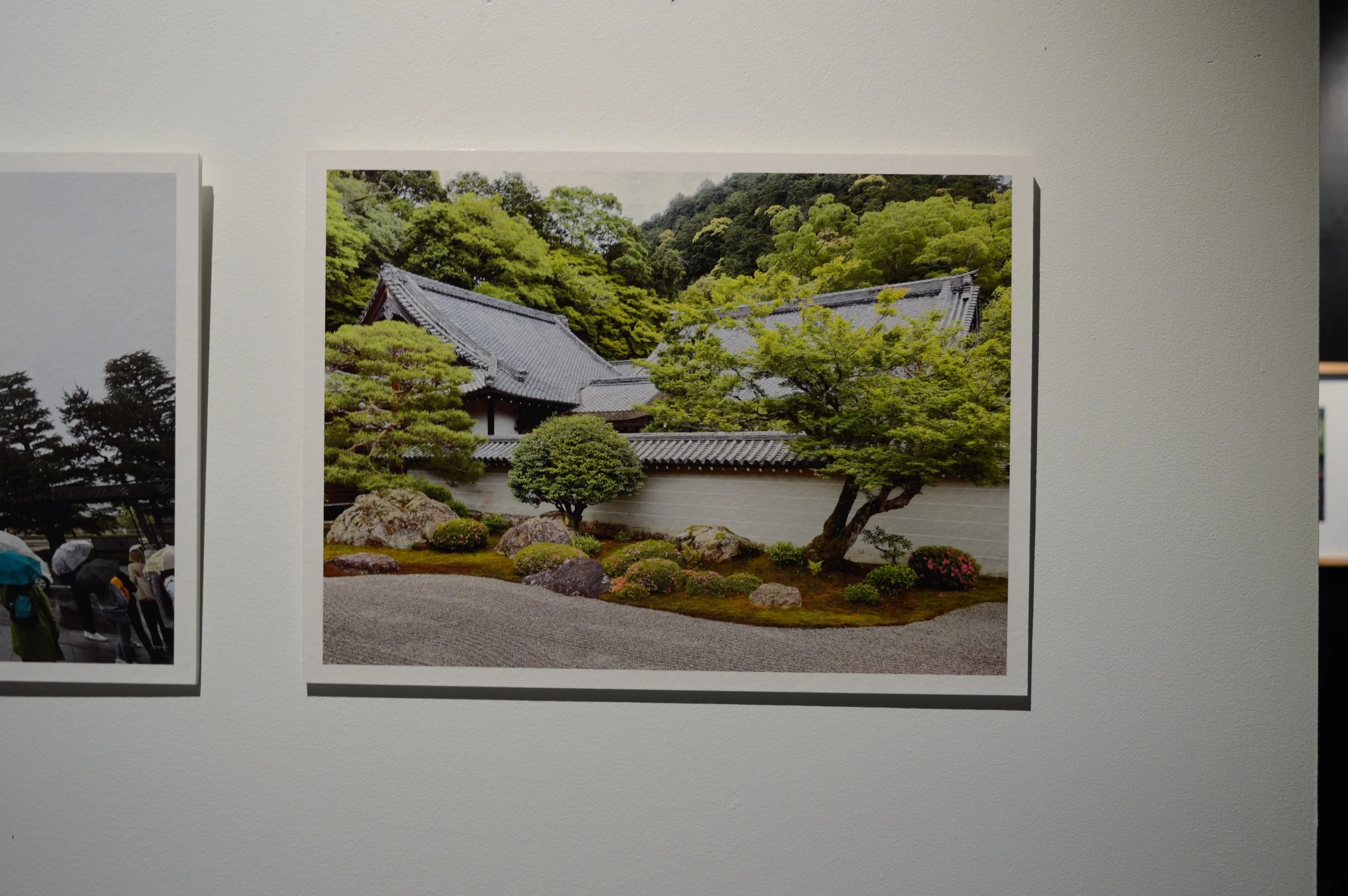 _DSC0888.jpeg