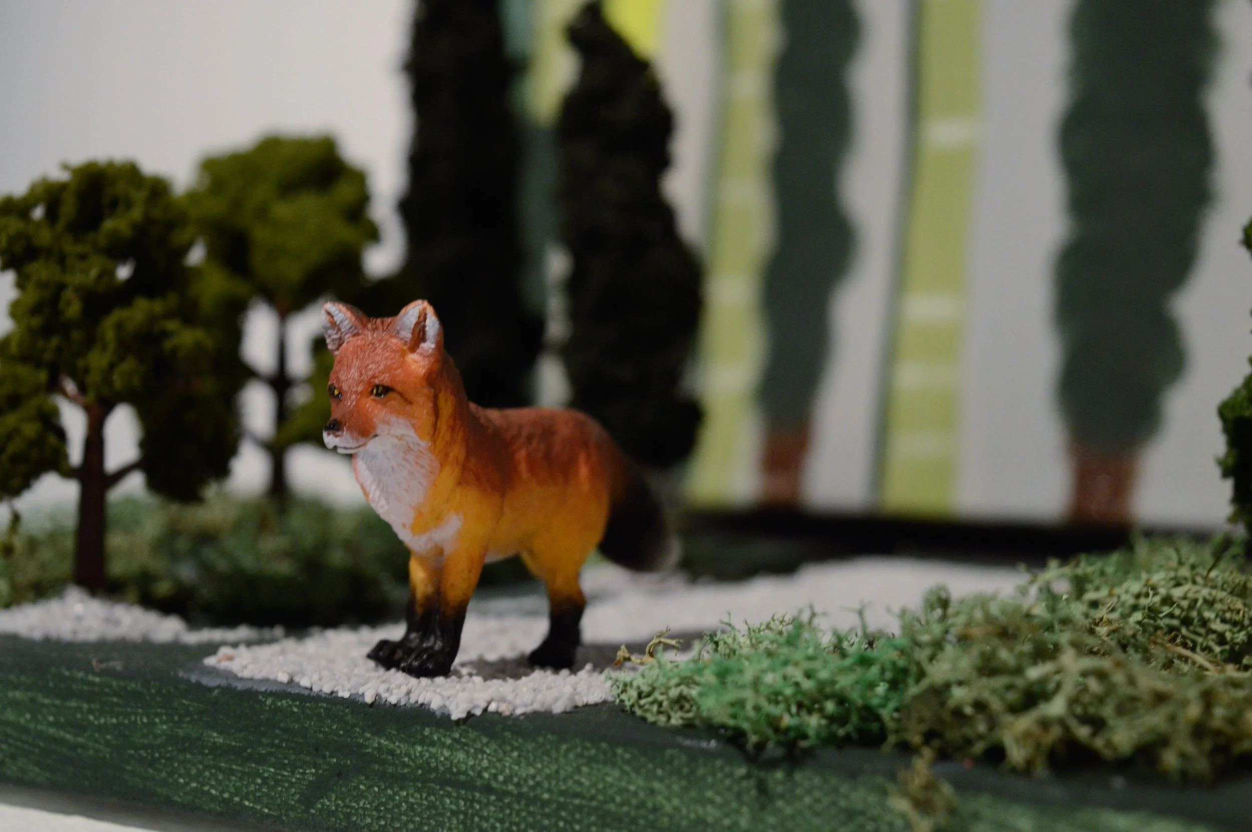 _DSC0908.jpeg