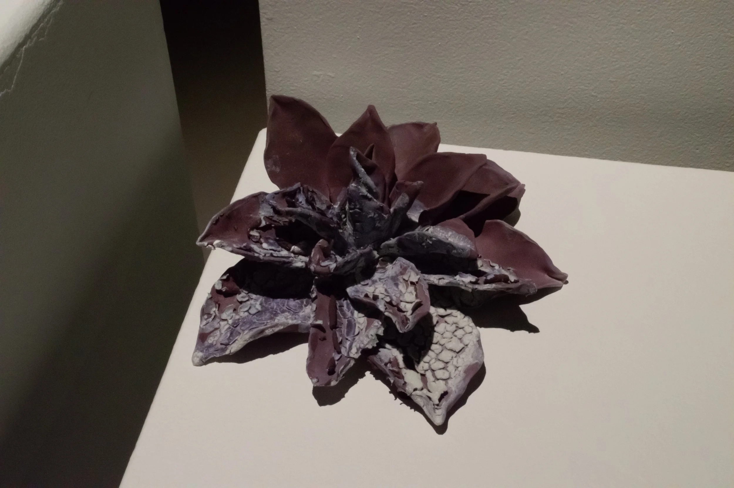 _DSC0225.jpeg