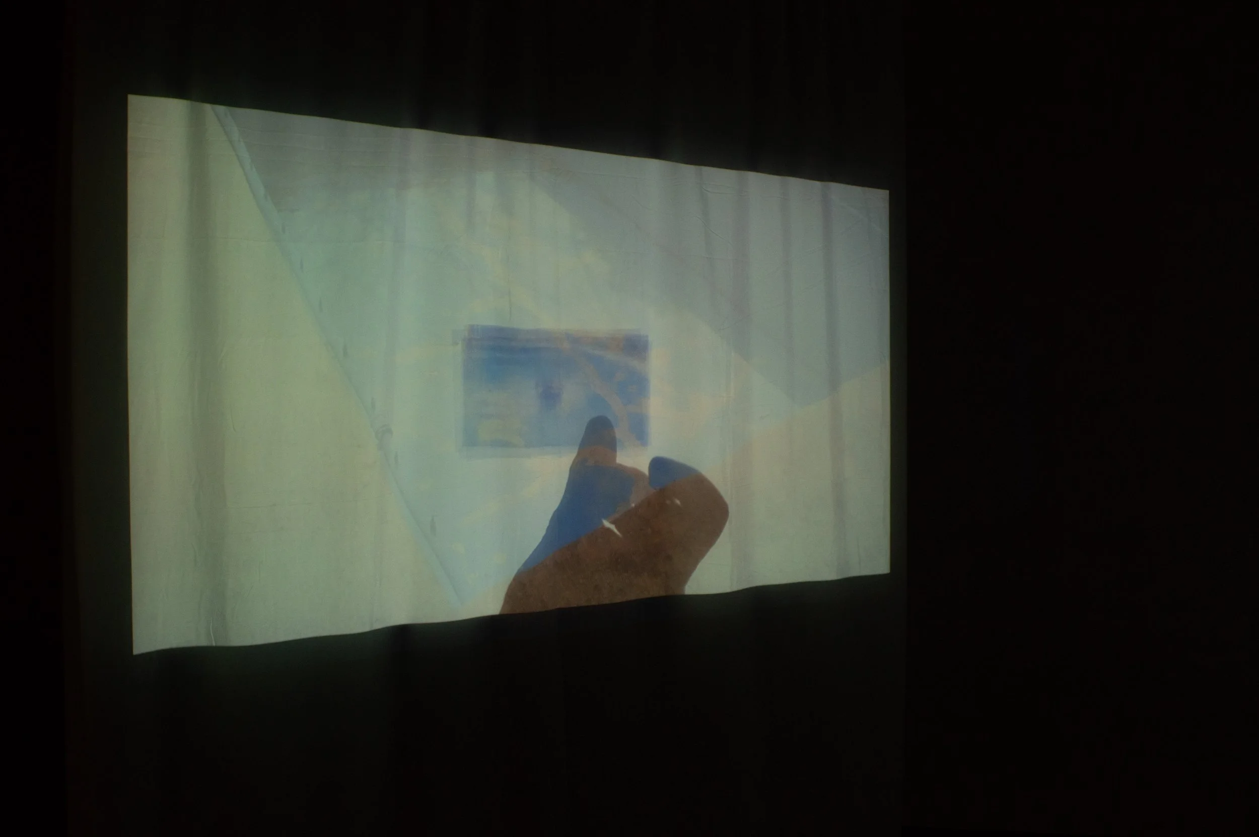 _DSC0125.jpeg