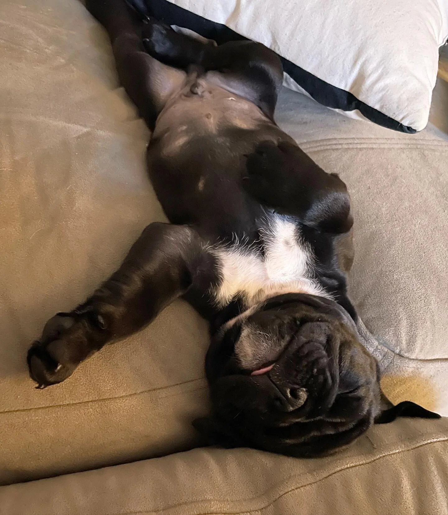 You have just as much value at rest as you do working. Take a break.