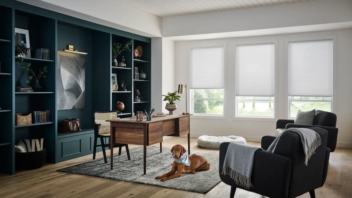 Bright living room with blue wall and built-in bookshelf, a wooden desk, black armchair, gray blanket, and a dog lying on a gray rug near large windows.
