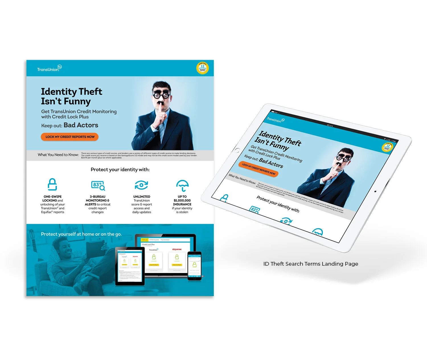 ID Theft_NotFunny_Mock-Up.jpg
