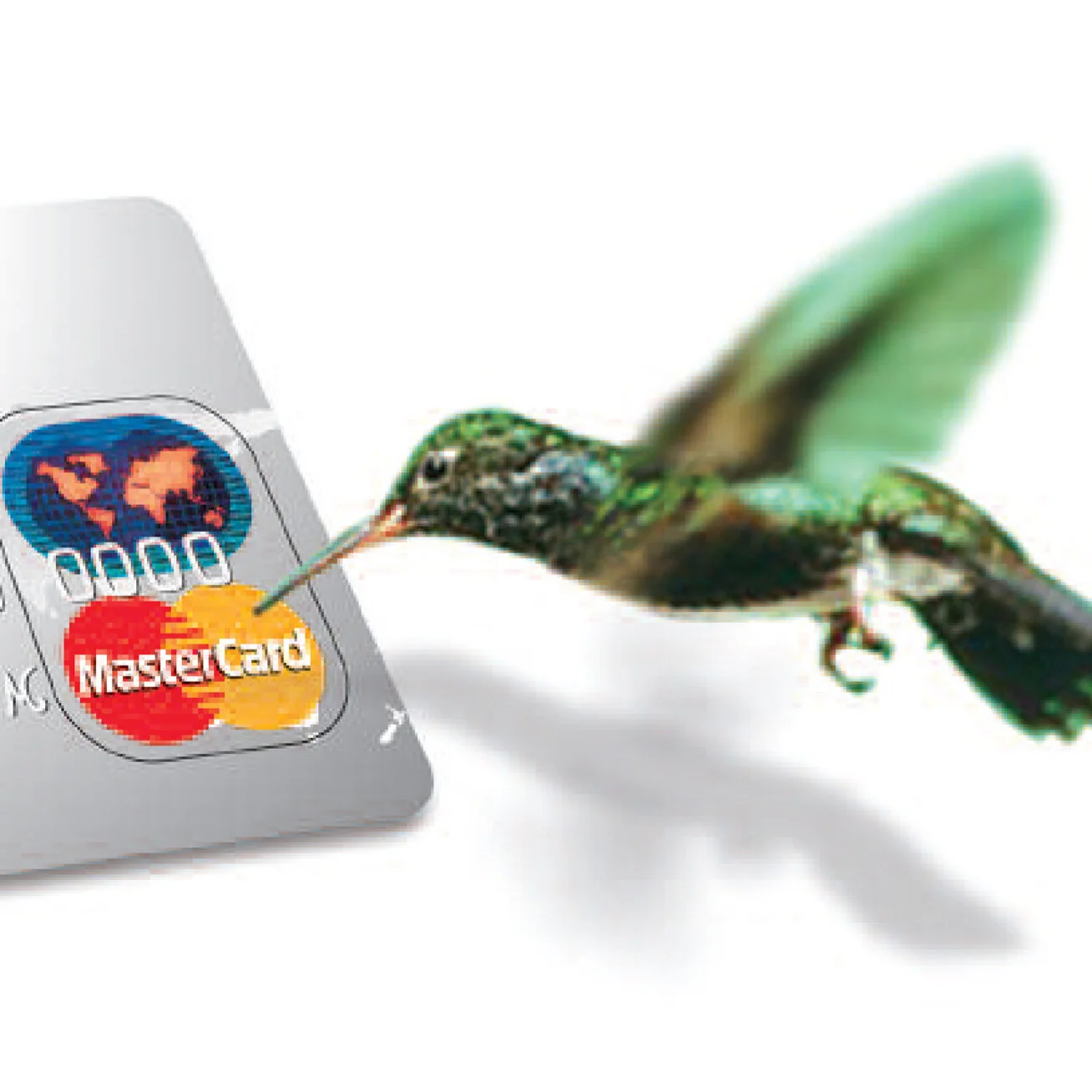 Sweet, Stoked & Wicked