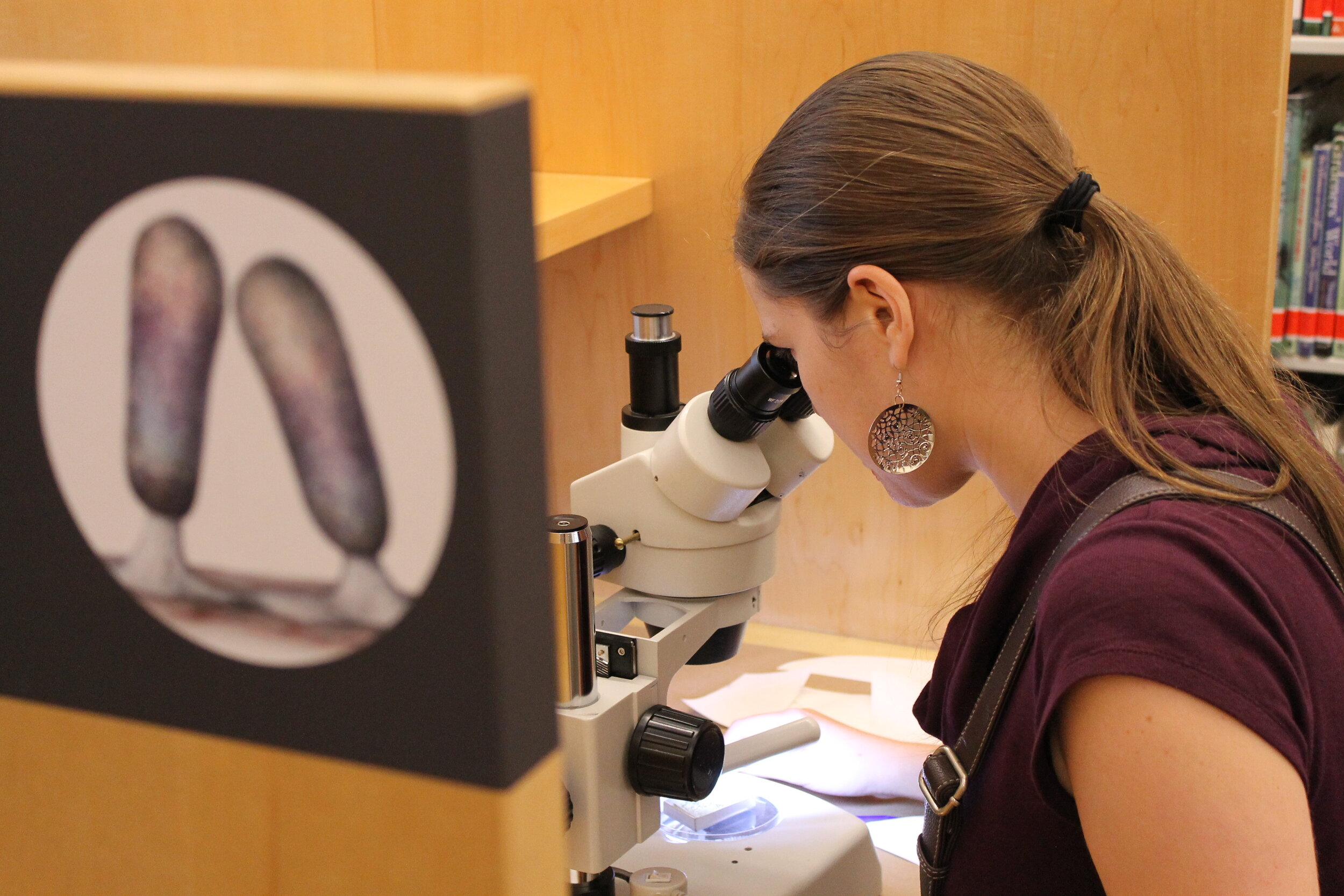Visitors zoomed in on a rainbow-colored specimen and tried their hand at drawing it.