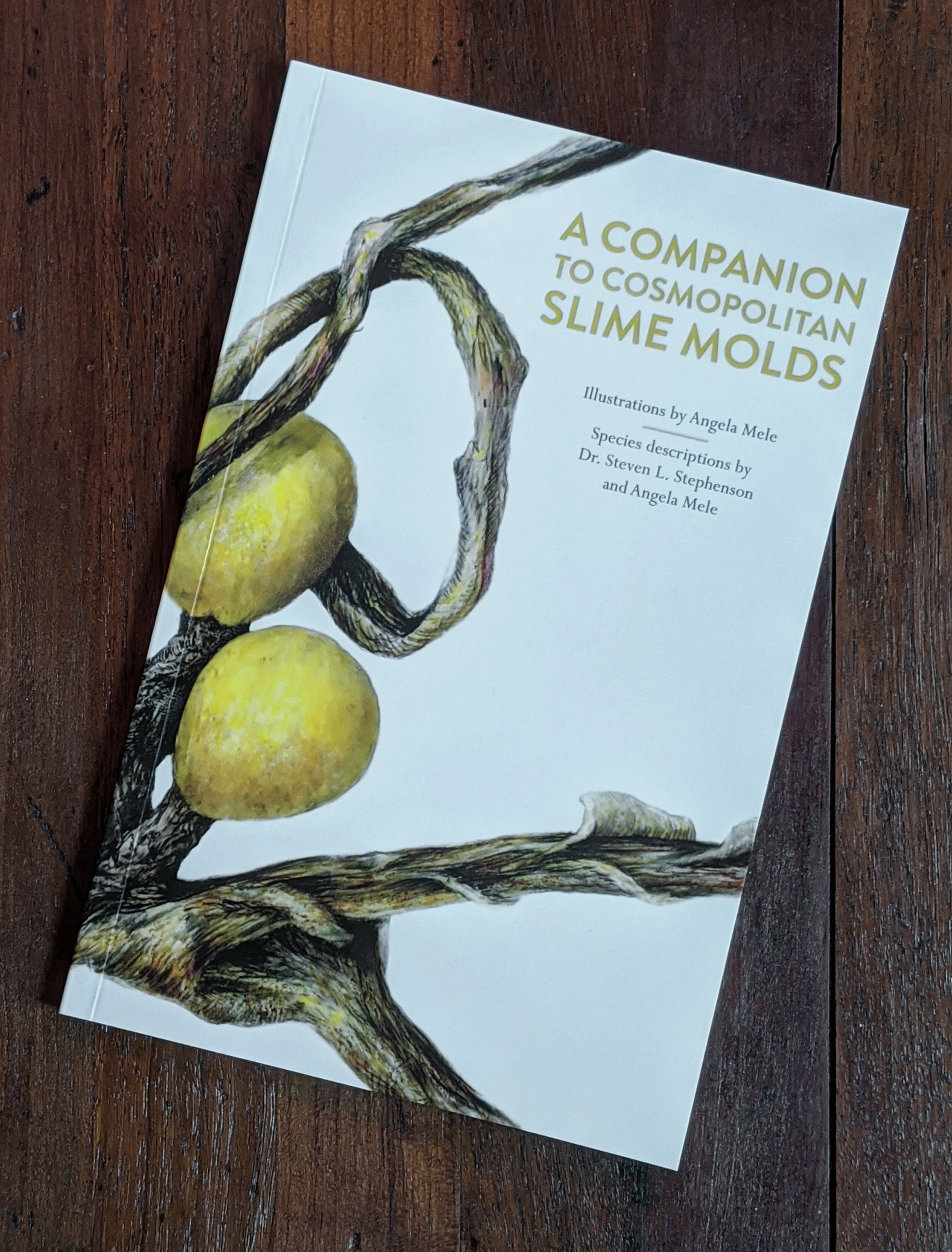 book_ cover5.jpg