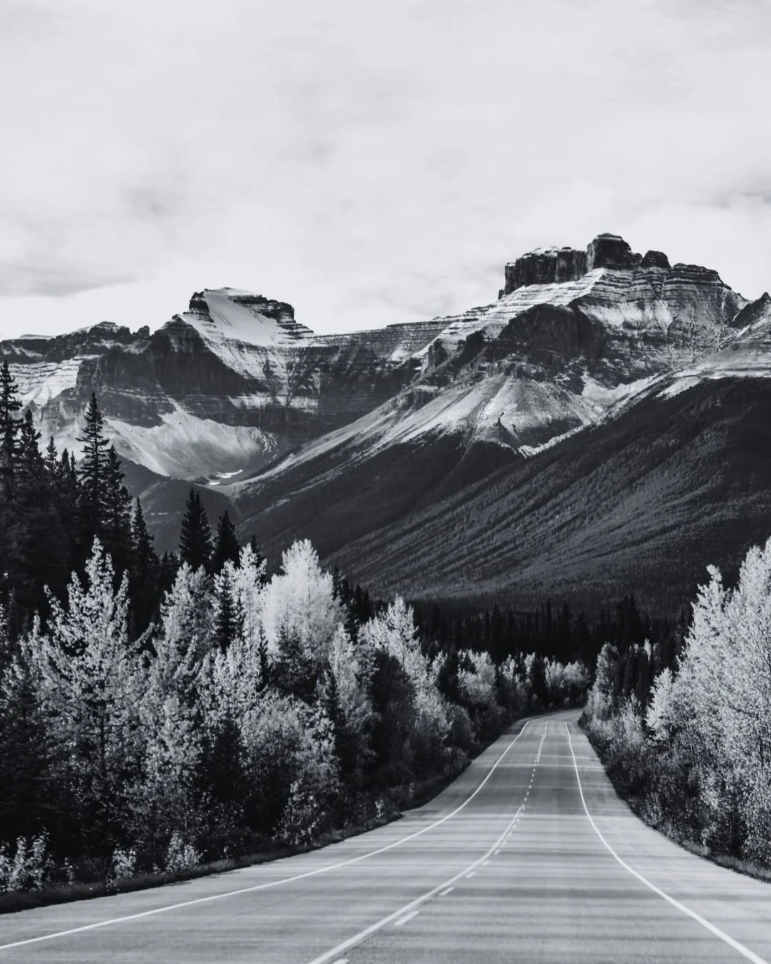 Canada Immigration in 2026: New Programs, Pathways &amp; What You Need to Know