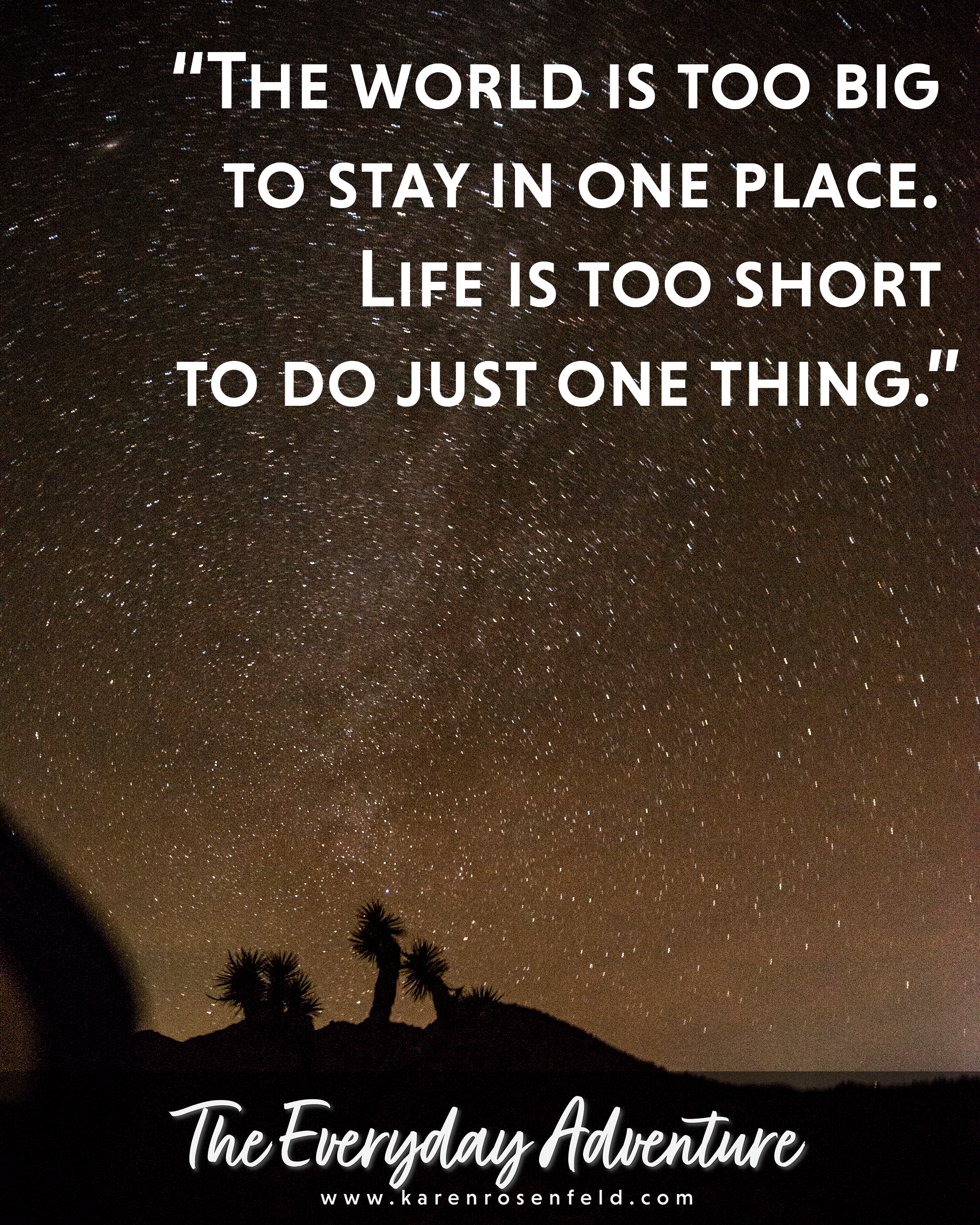Inspirational quote about exploring the world over a photograph of a star-filled desert sky and silhouetted Joshua trees.
