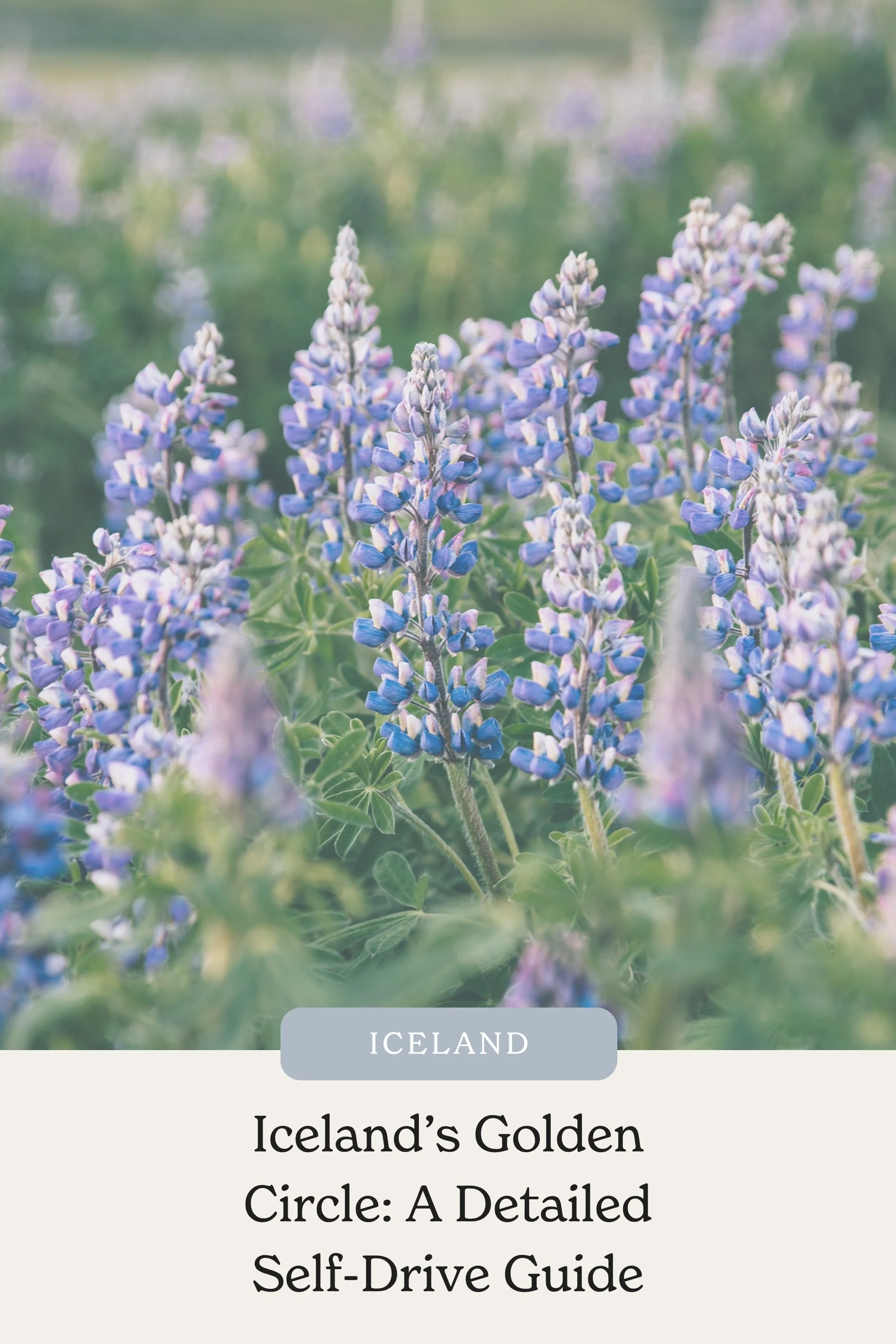 Iceland’s Golden Circle: A Detailed Self-Drive Guide