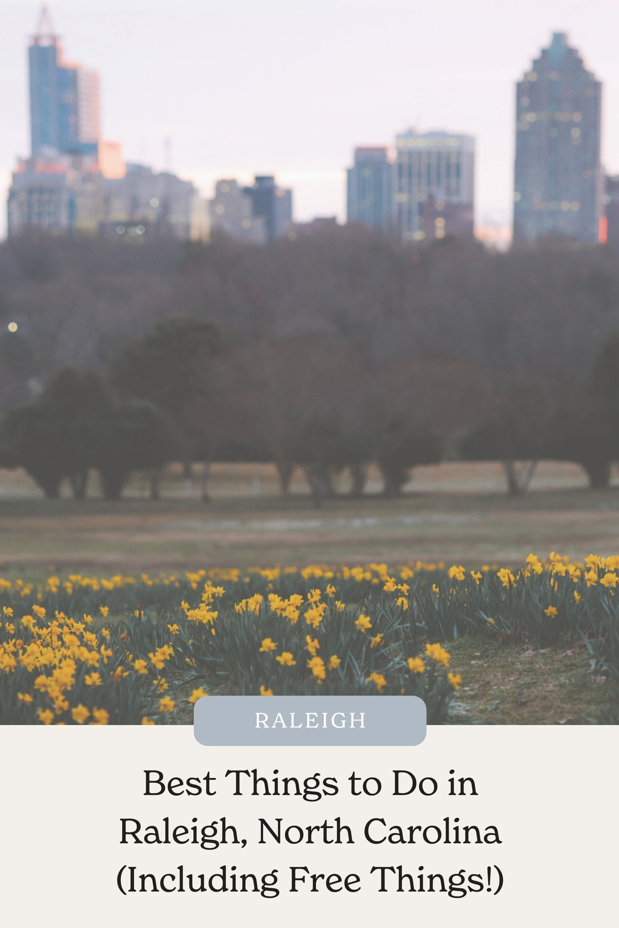 Best Things to Do in Raleigh, North Carolina (Including Free Things!)