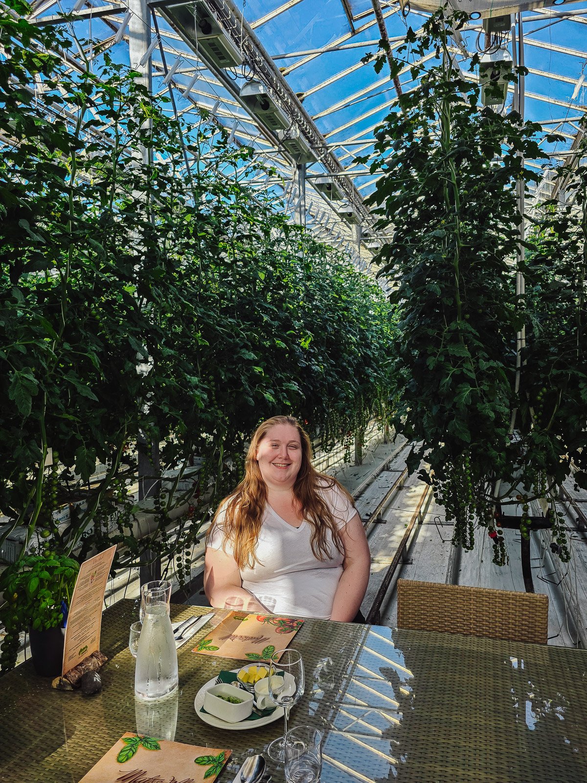 Traveler seated at a table inside the Friðheimar tomato greenhouse in Iceland