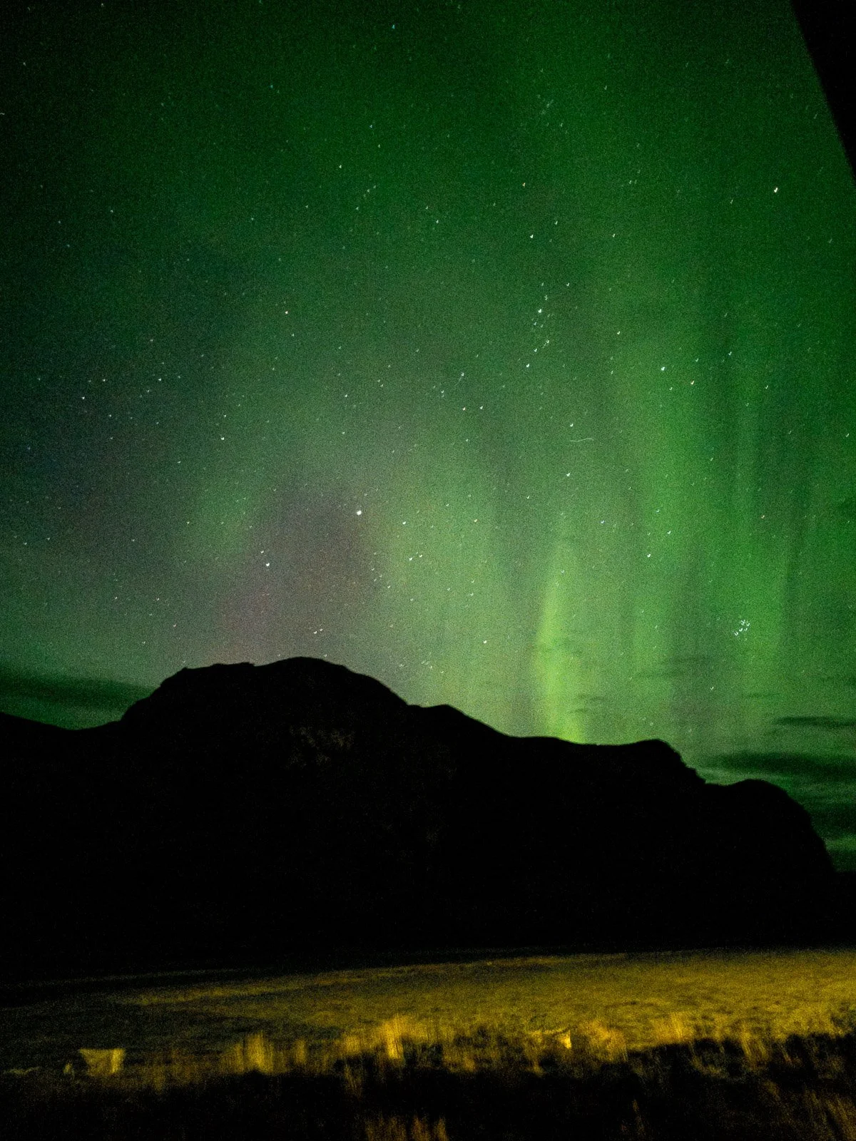 Green Northern Lights and stars above a dark mountain and grassy landscape in Iceland