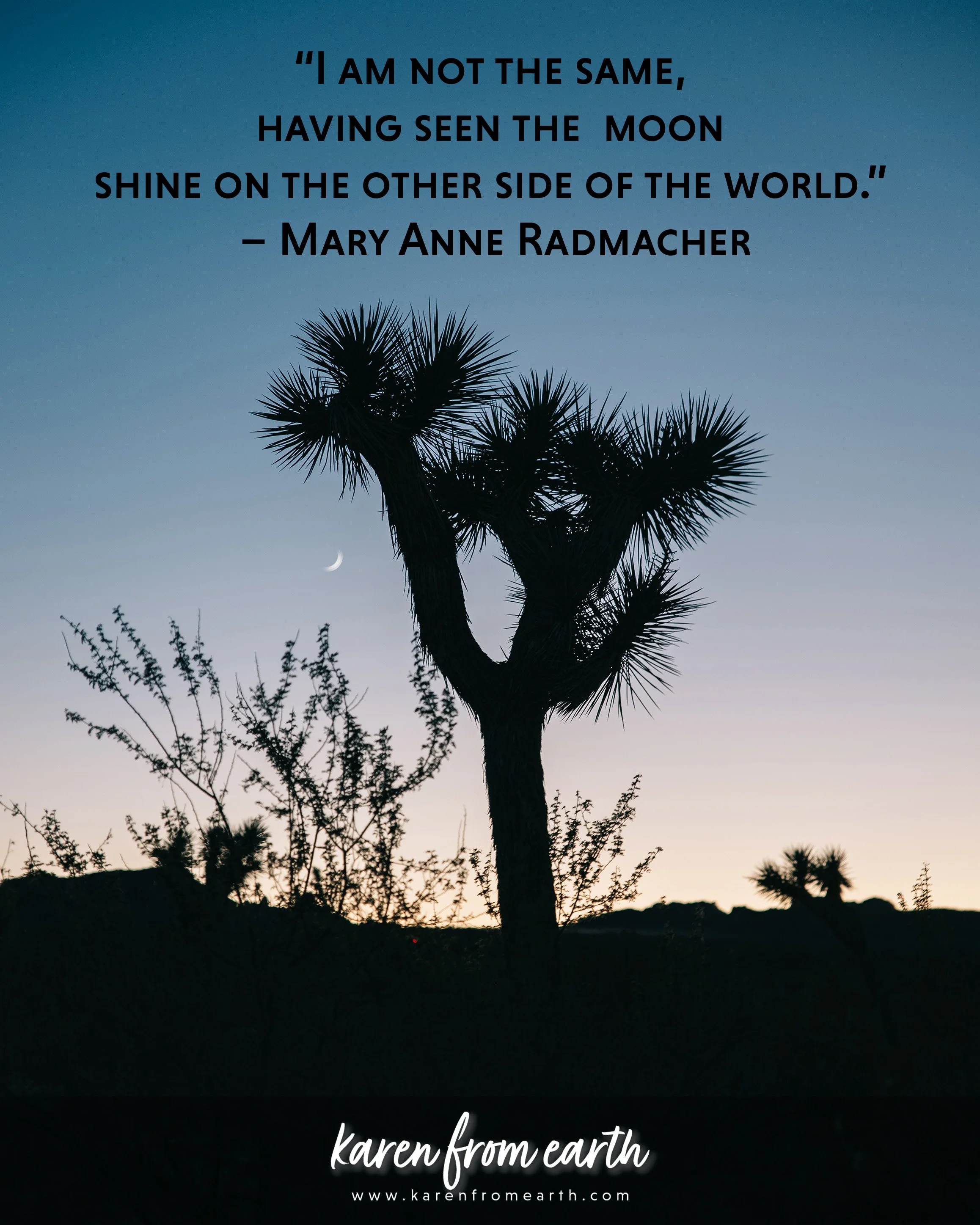 Travel quote by Mary Anne Radmacher over a silhouetted Joshua tree and crescent moon at dusk.