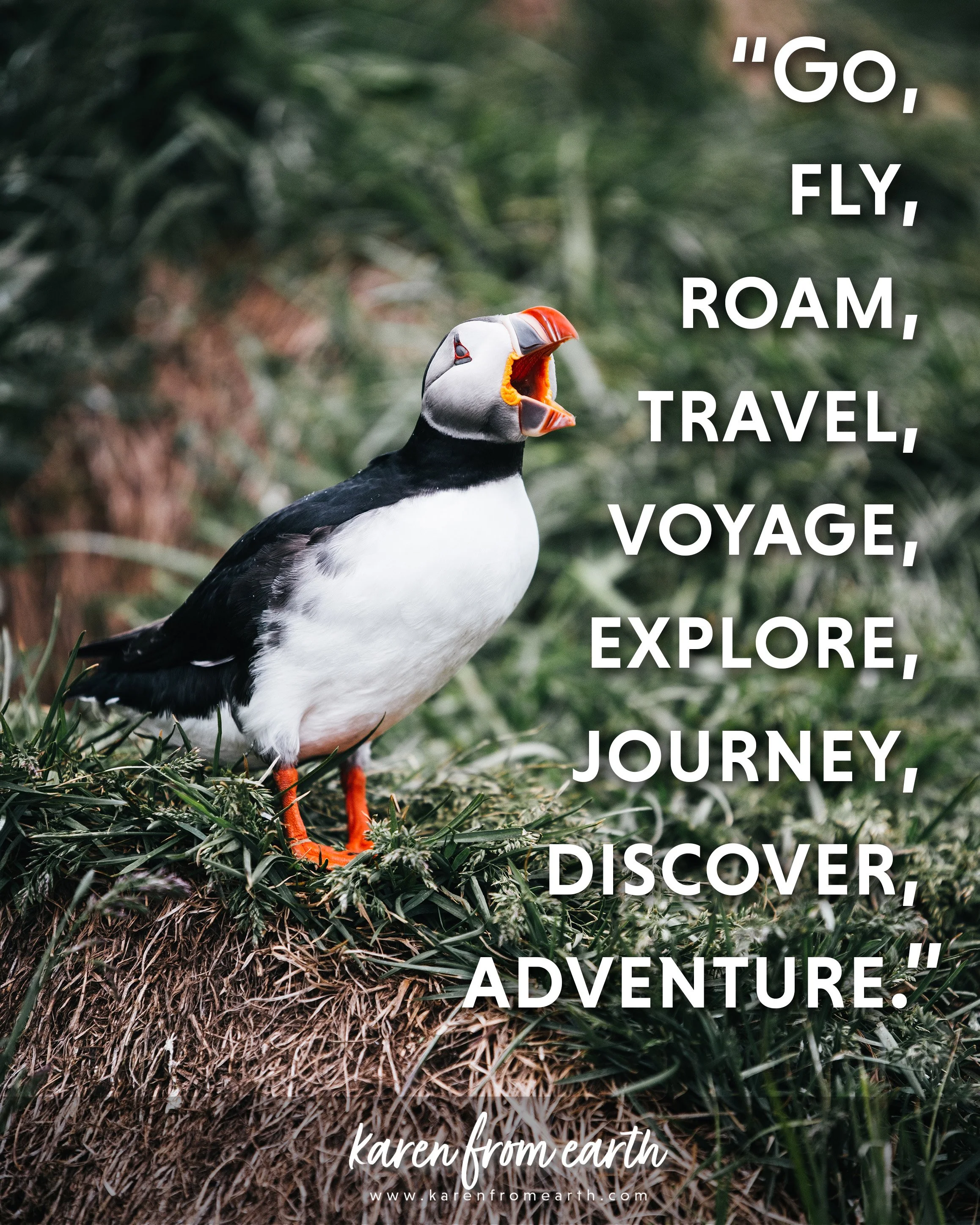 Travel inspiration graphic featuring an Atlantic puffin standing in coastal grass with its beak open.