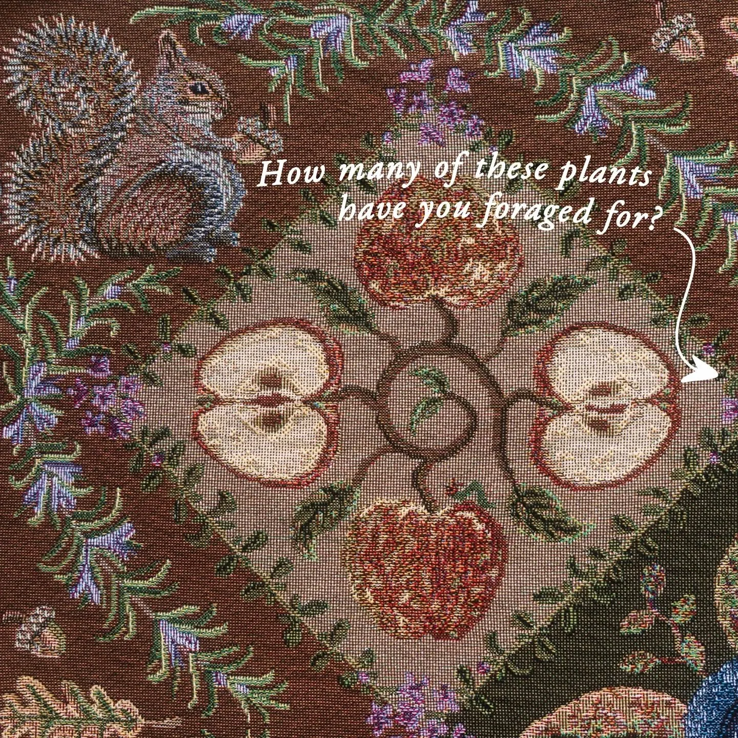 Last day for 15% off our tapestries 🌿🐿️ just use WILD15 at the checkout 🤗 

Curious how many of these plants youve foraged for before? 🧺 We tried to include the most popular forageables in this tapestry design for all those who love nothing more 