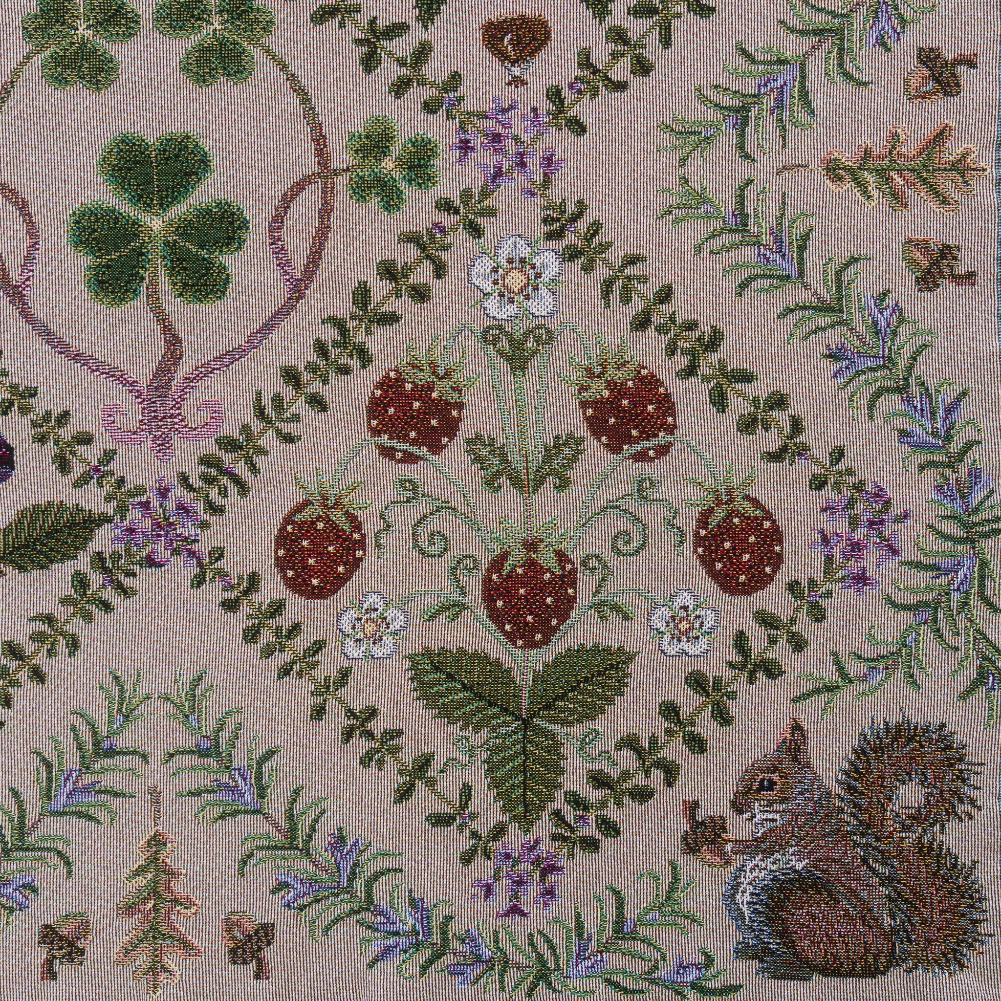 reshoot tif forage-3.jpg