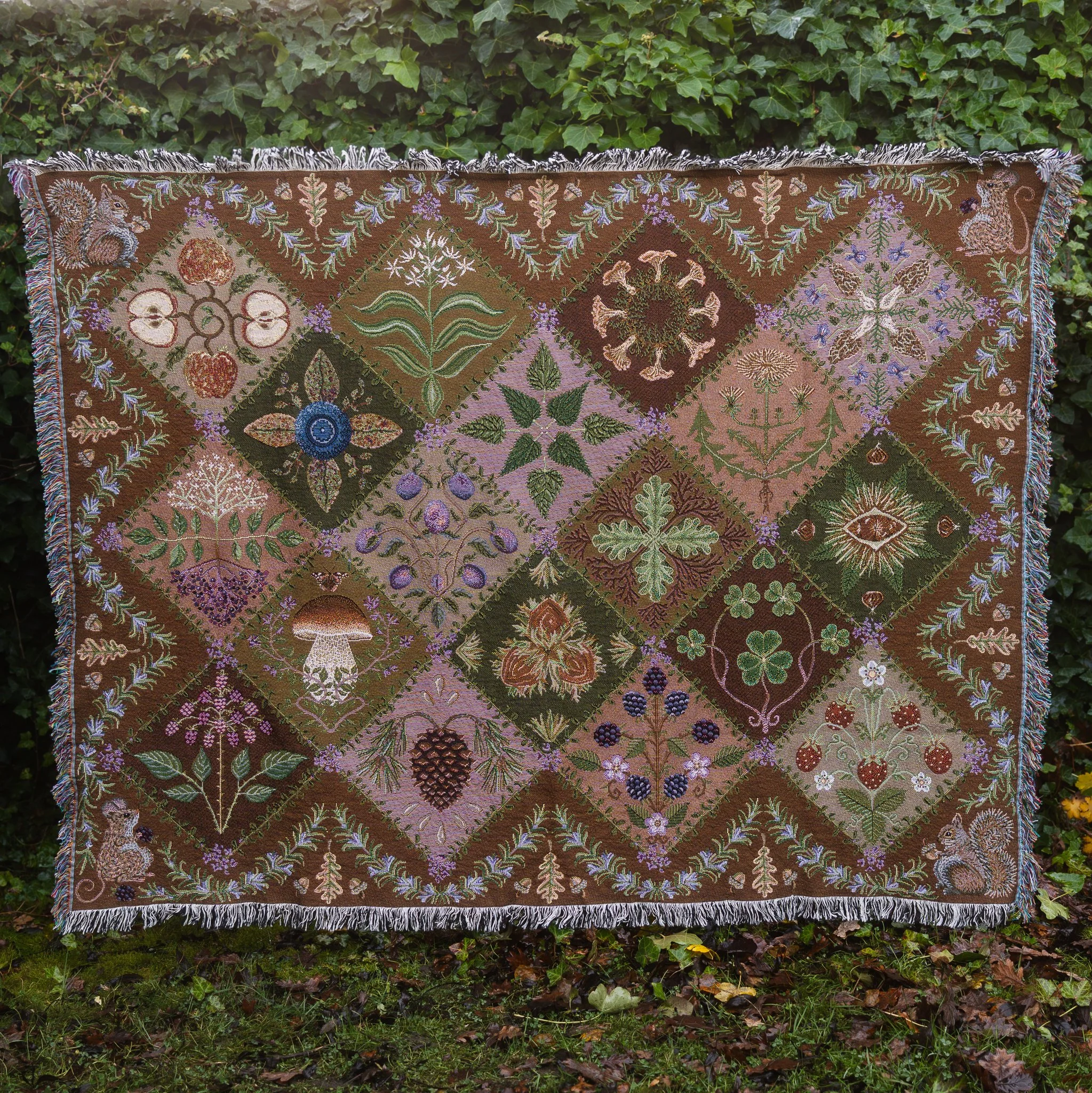 reshoot tif forage-7.jpg