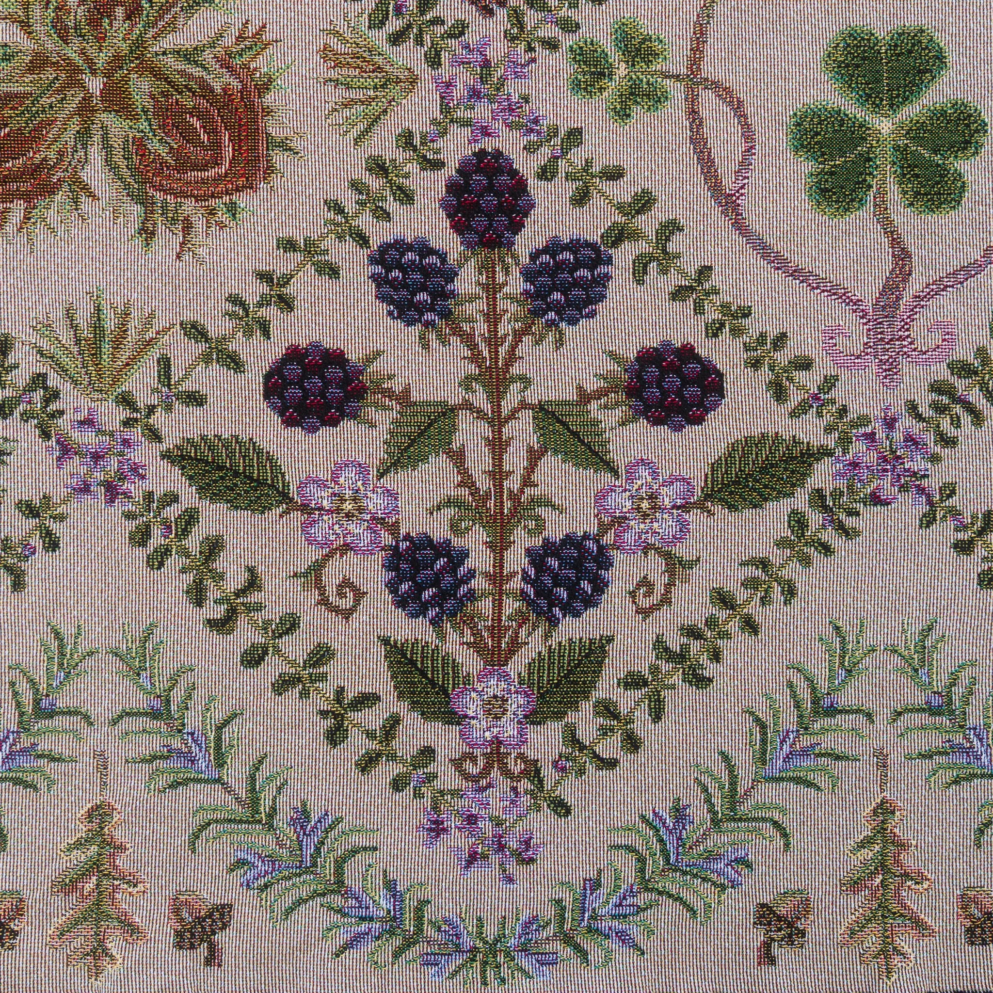 reshoot tif forage-2.jpg