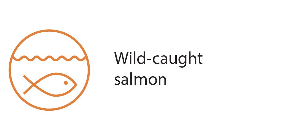Bone broth salmon individual-14.jpg