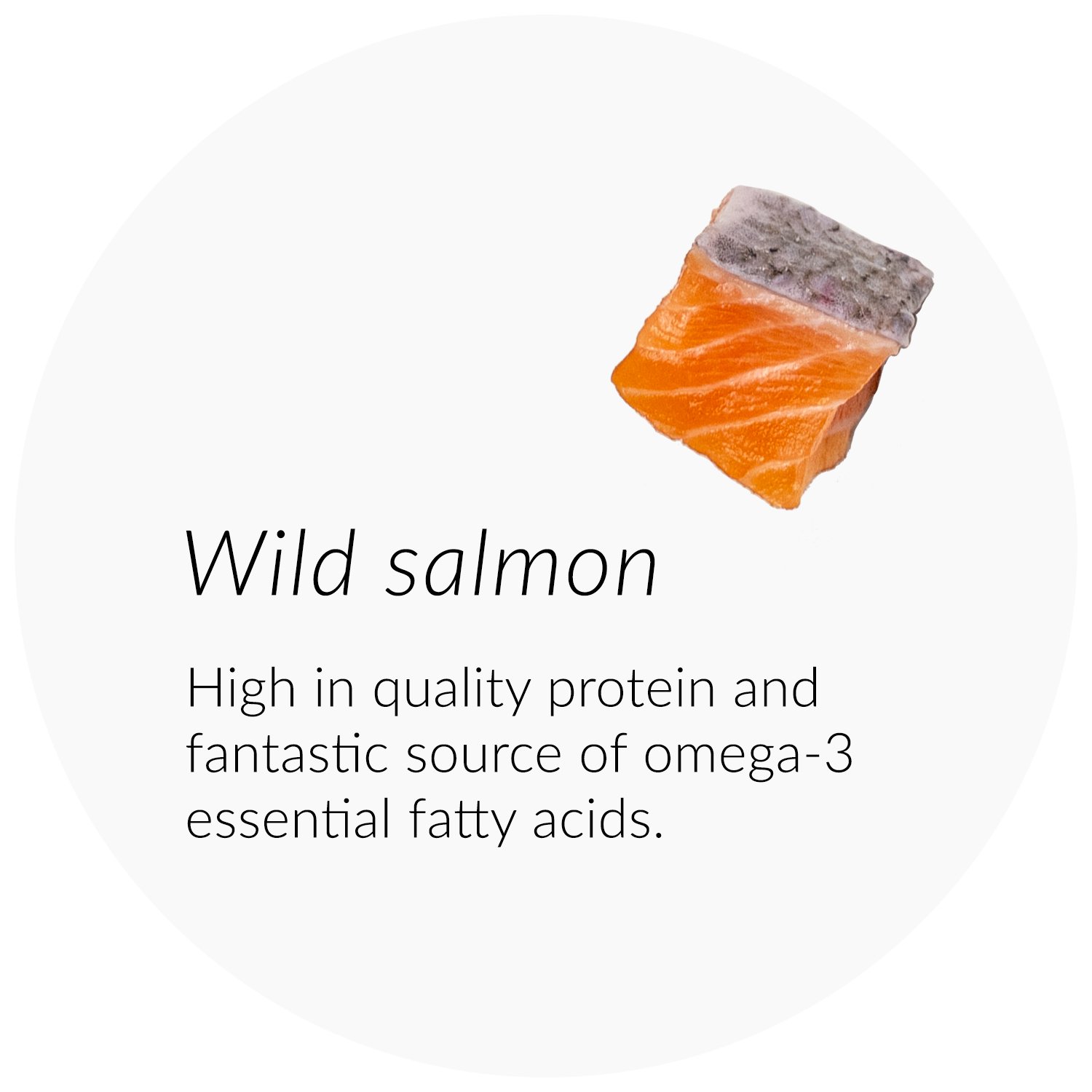 Ingredient - Salmon.jpg