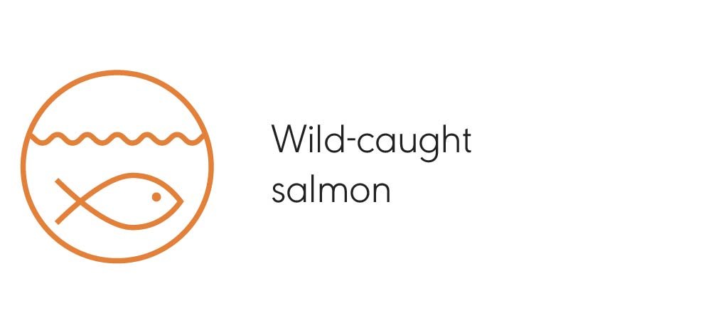 Bone broth salmon-14.jpg