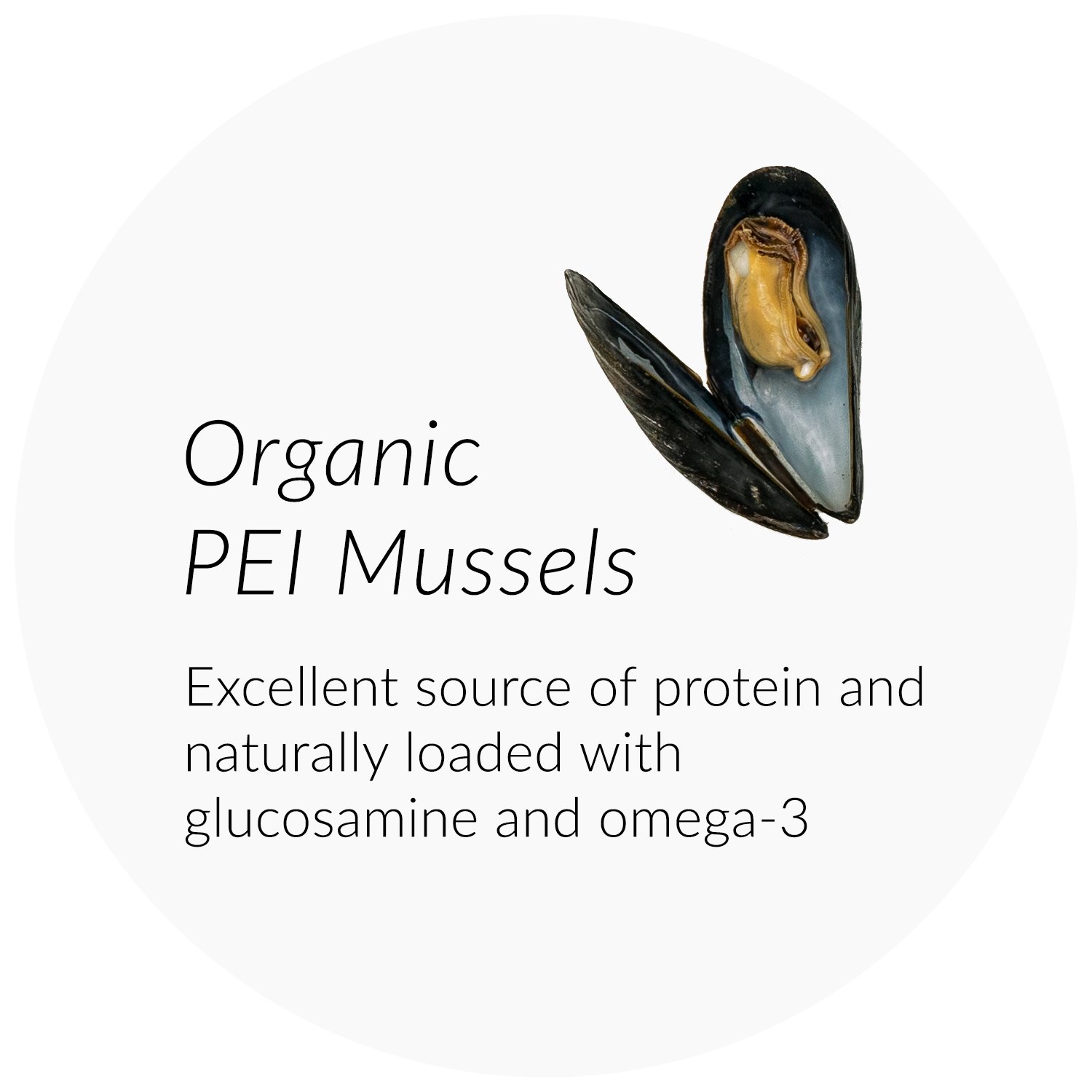 Ingredient - Mussels.jpg