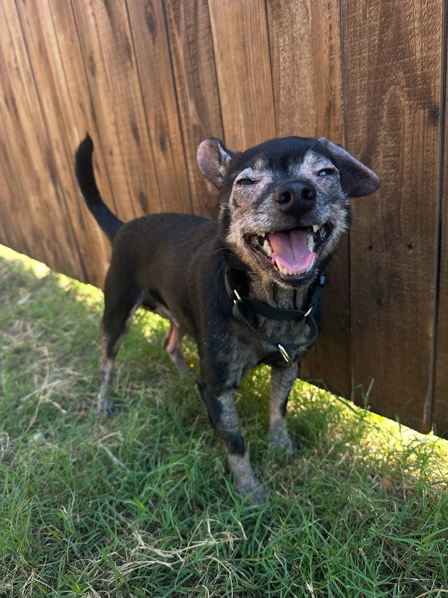 I swear he is already smiling!!! Night one with new guy! His name is currently Fabian….. still deciding if that fits him or if anyone has any good suggestions😂 either way he is safe and he is already coming out of his shell🥹❤️
