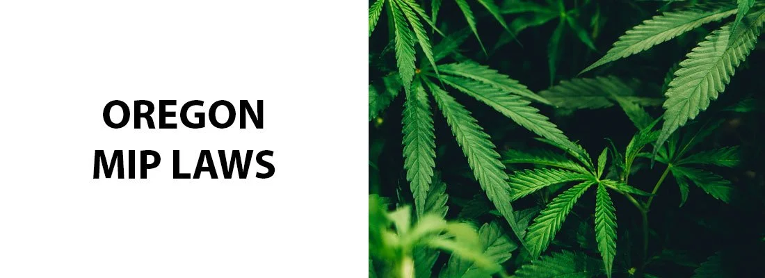 Oregon MIP Laws