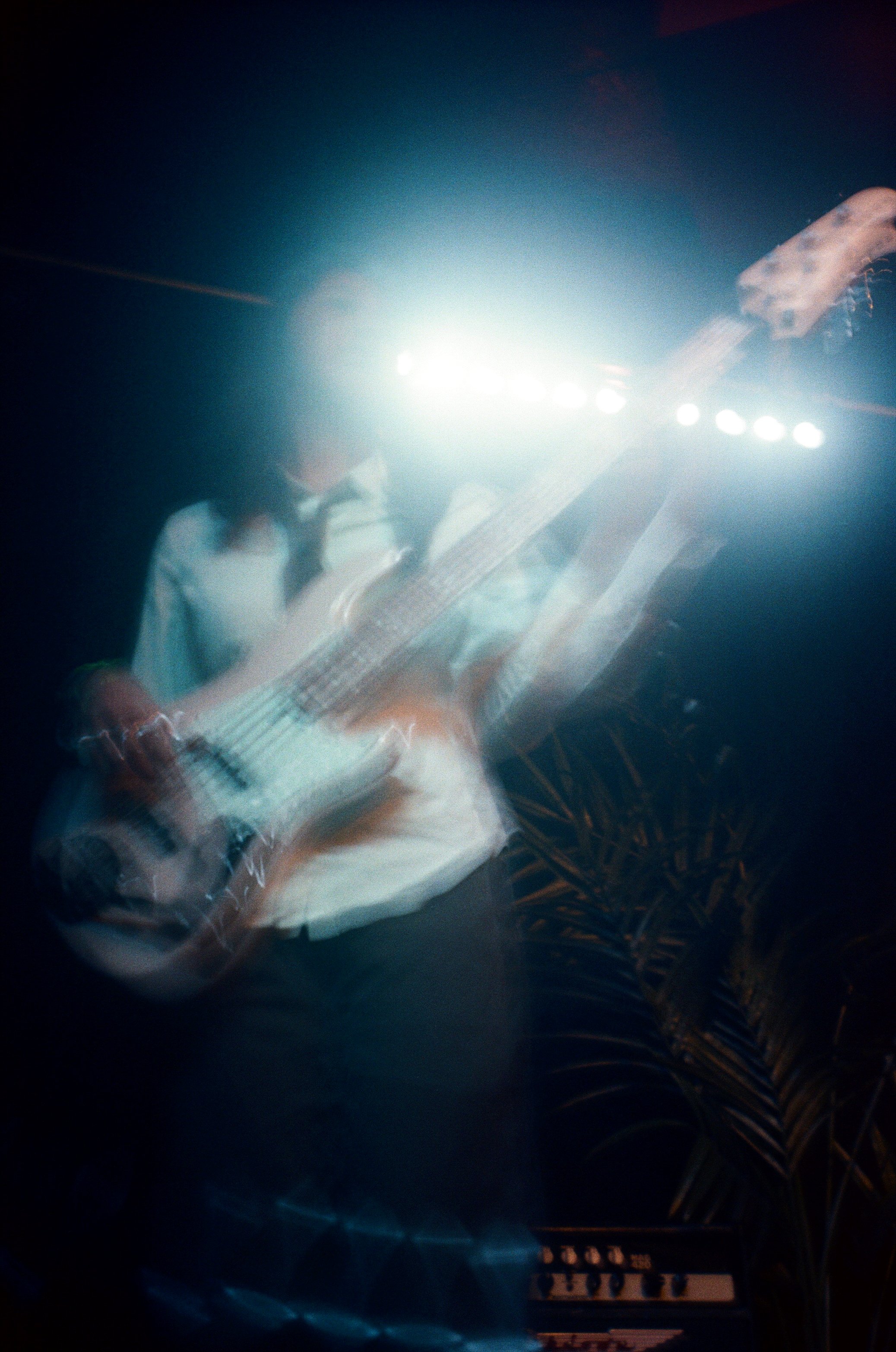 dt6 copy.jpg