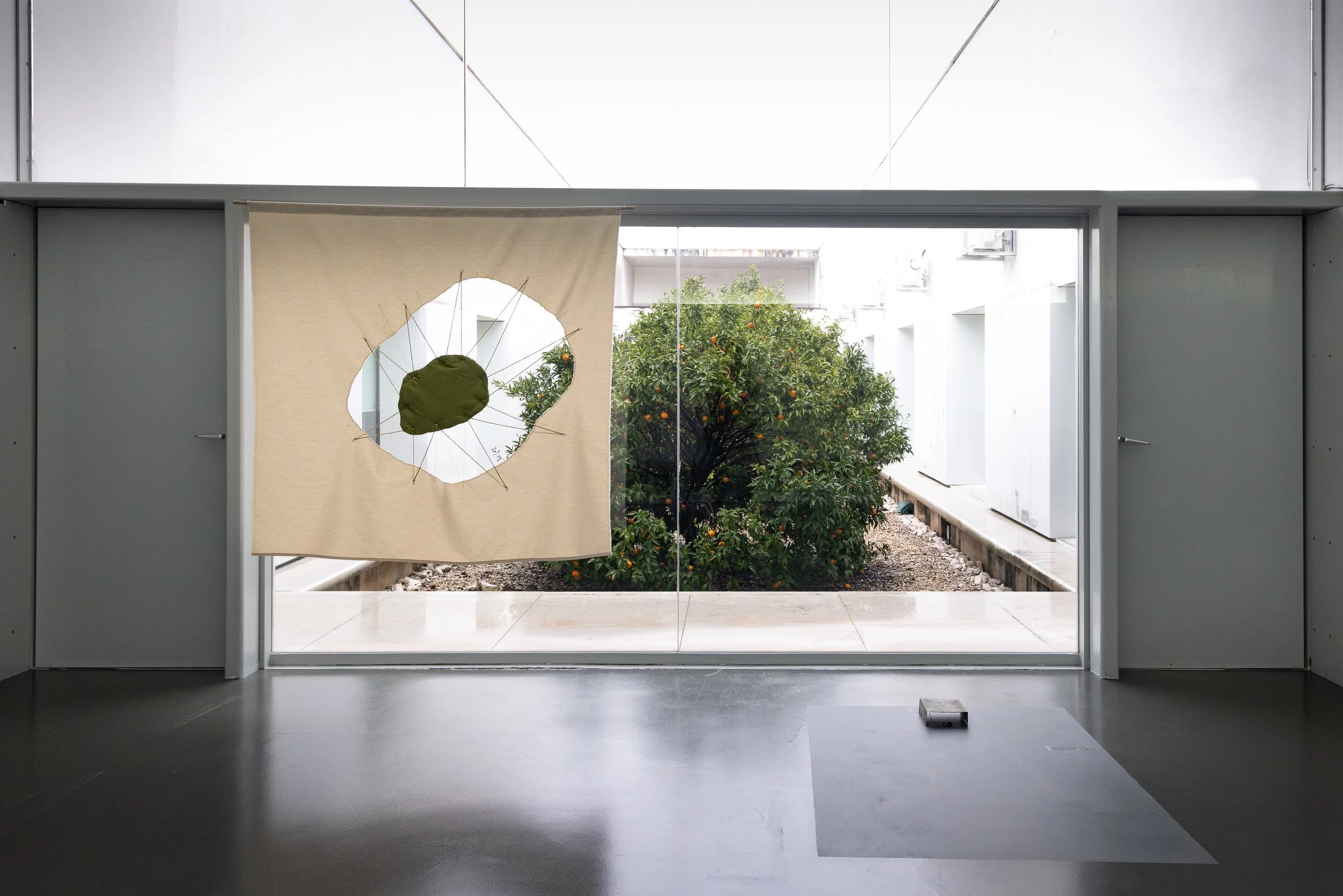 LA ESPERA FERTIL (The Fertile Wait)