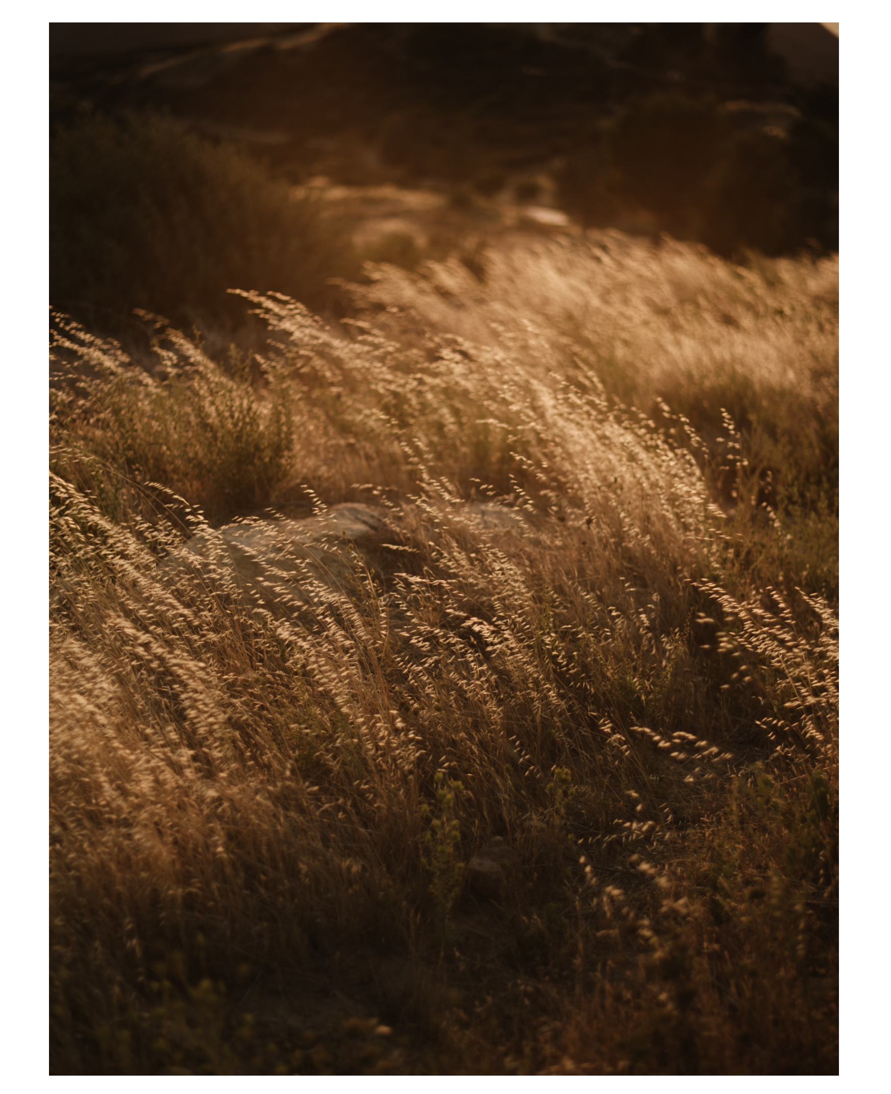 Screenshot 2025-08-08 at 10.34.39 AM.PNG