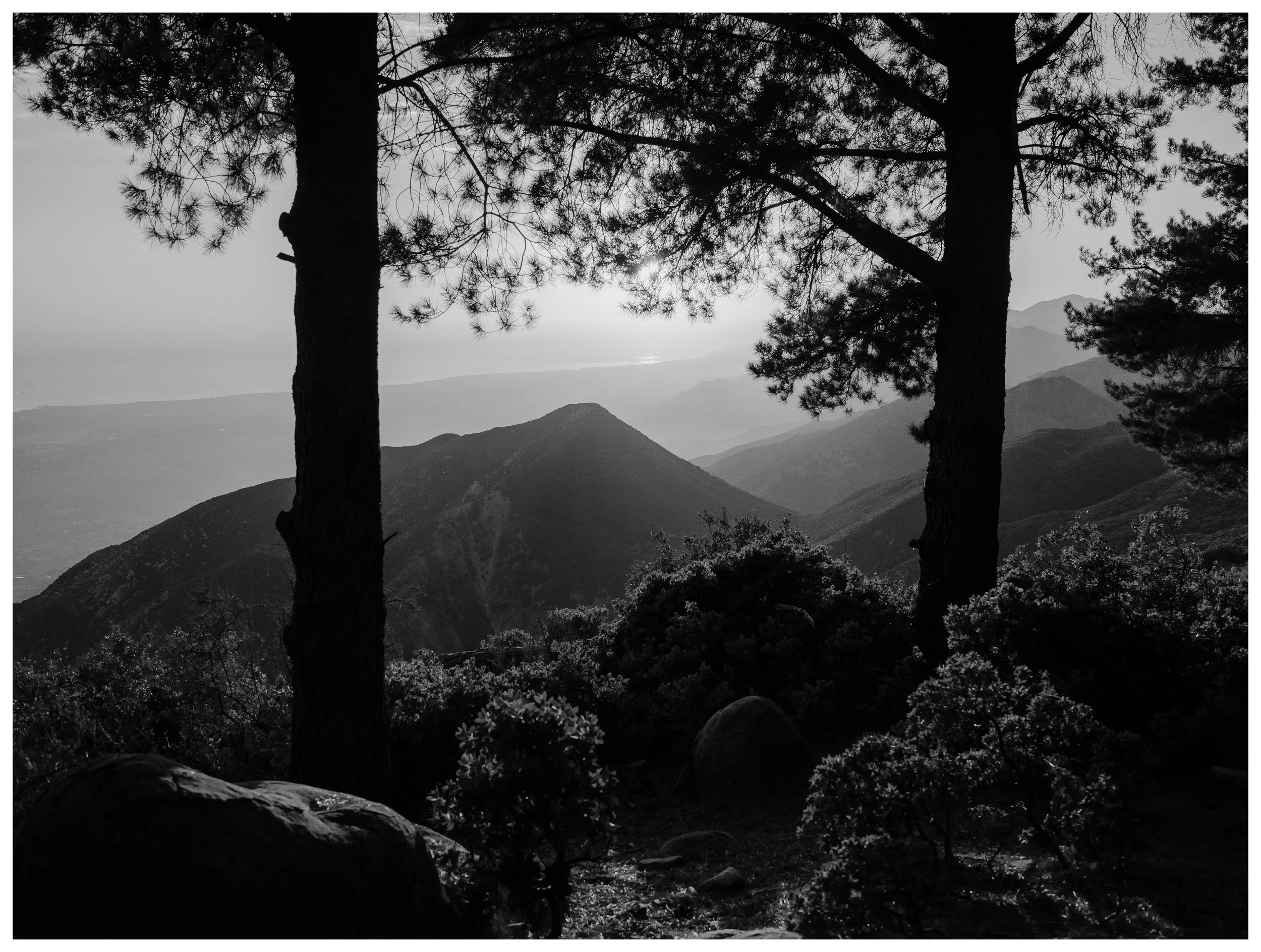 AfterlightImage 770.JPG